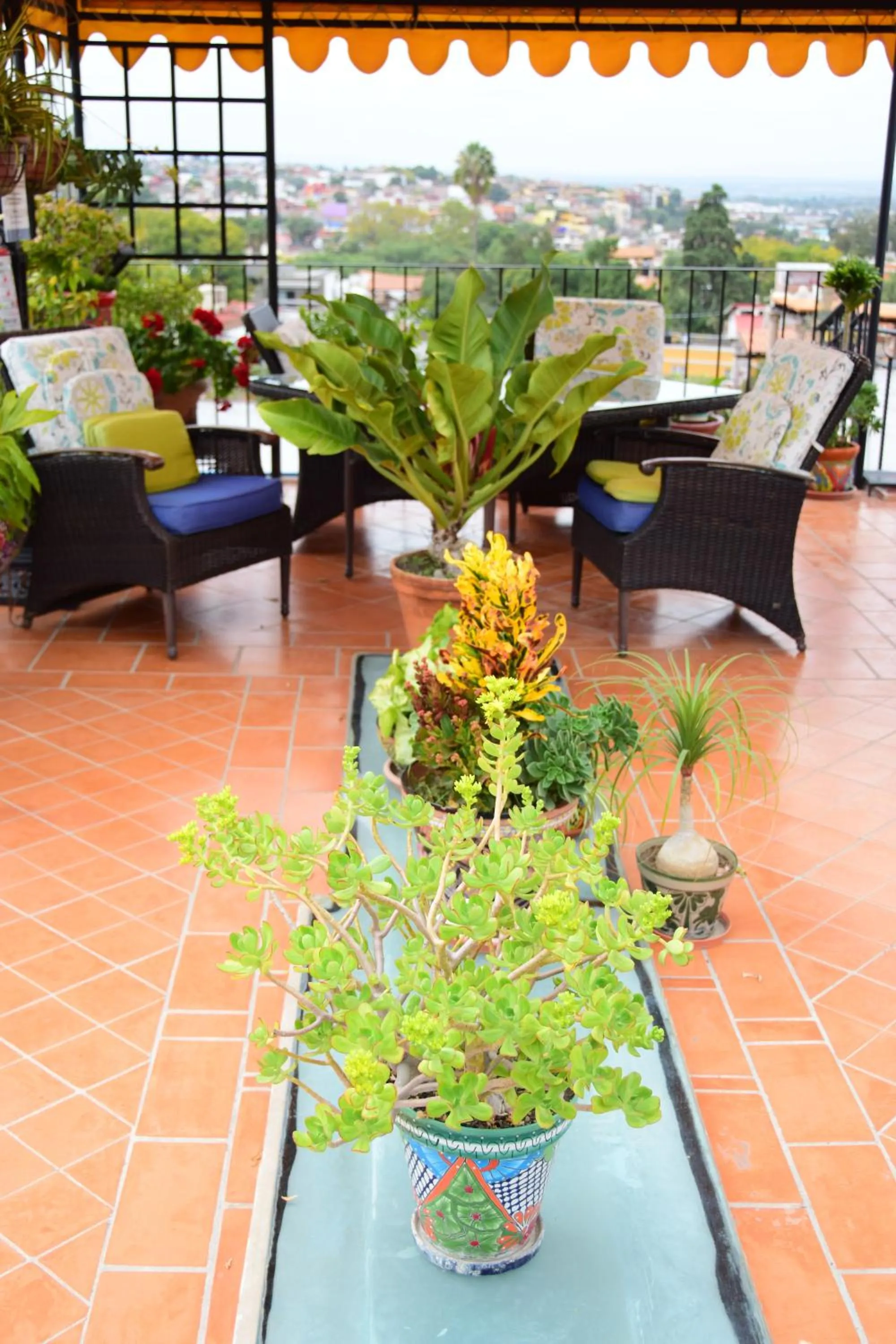 Patio in Casa Maricela B&B