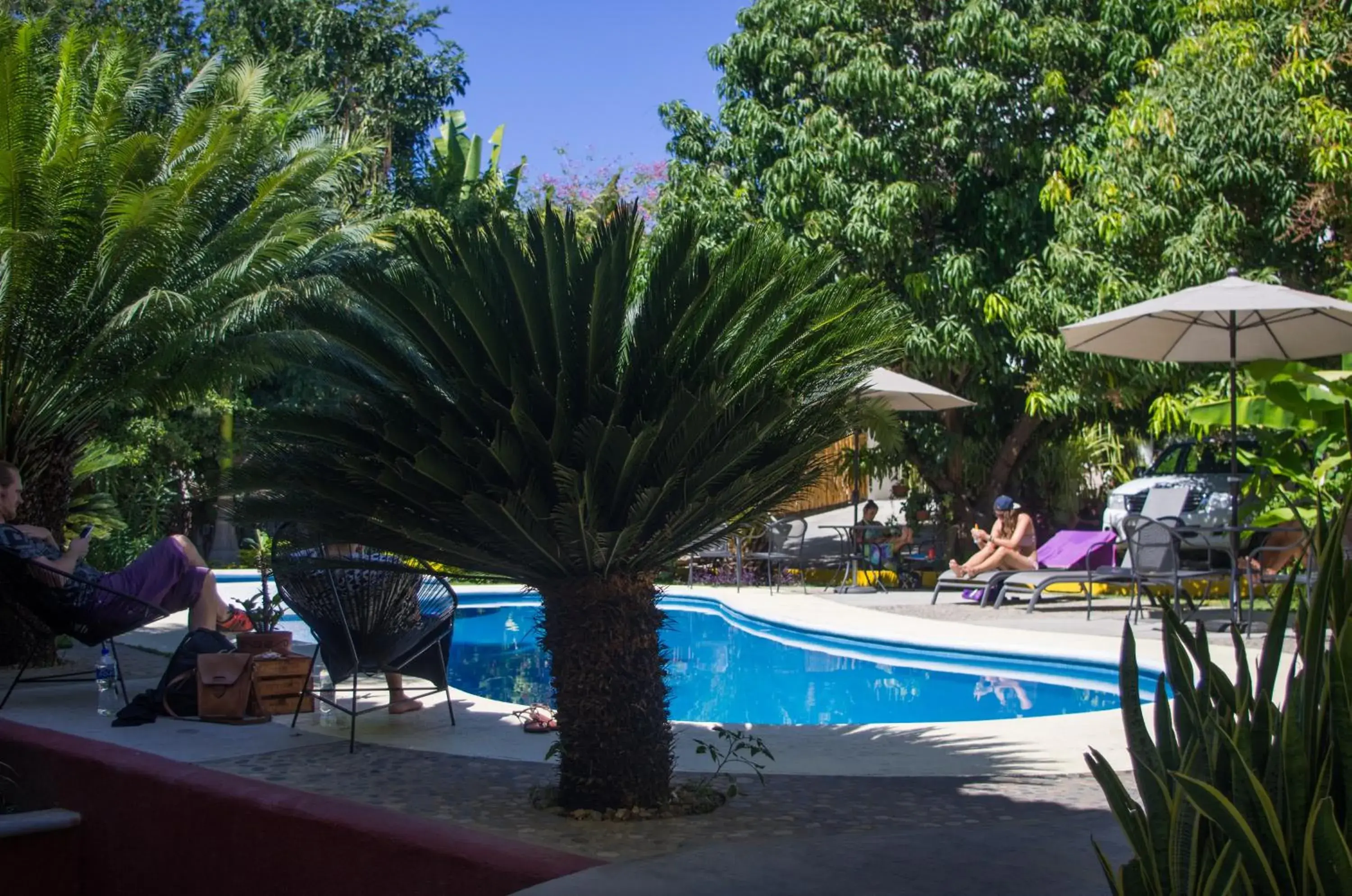 Bunk Bed in Female Dormitory Room in Casa Losodeli & Coworking- Adults Only Bunk Bed in Female Dormitory Room in Casa Losodeli & Coworking- Adults Only