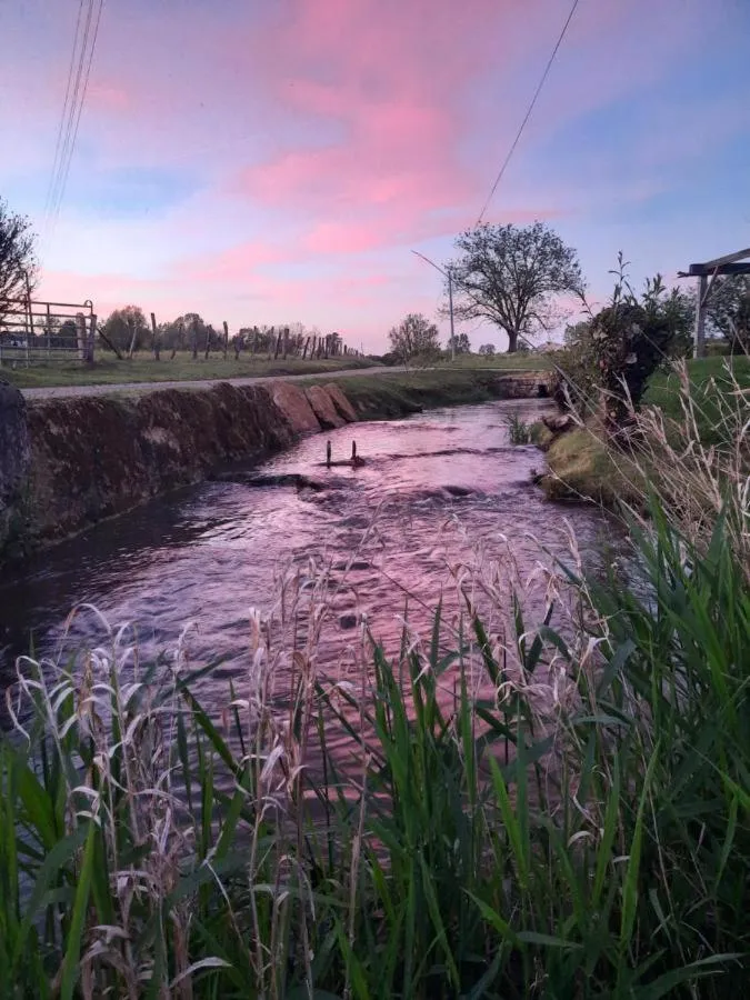 Garden in Domaine du moulin de Jeanne