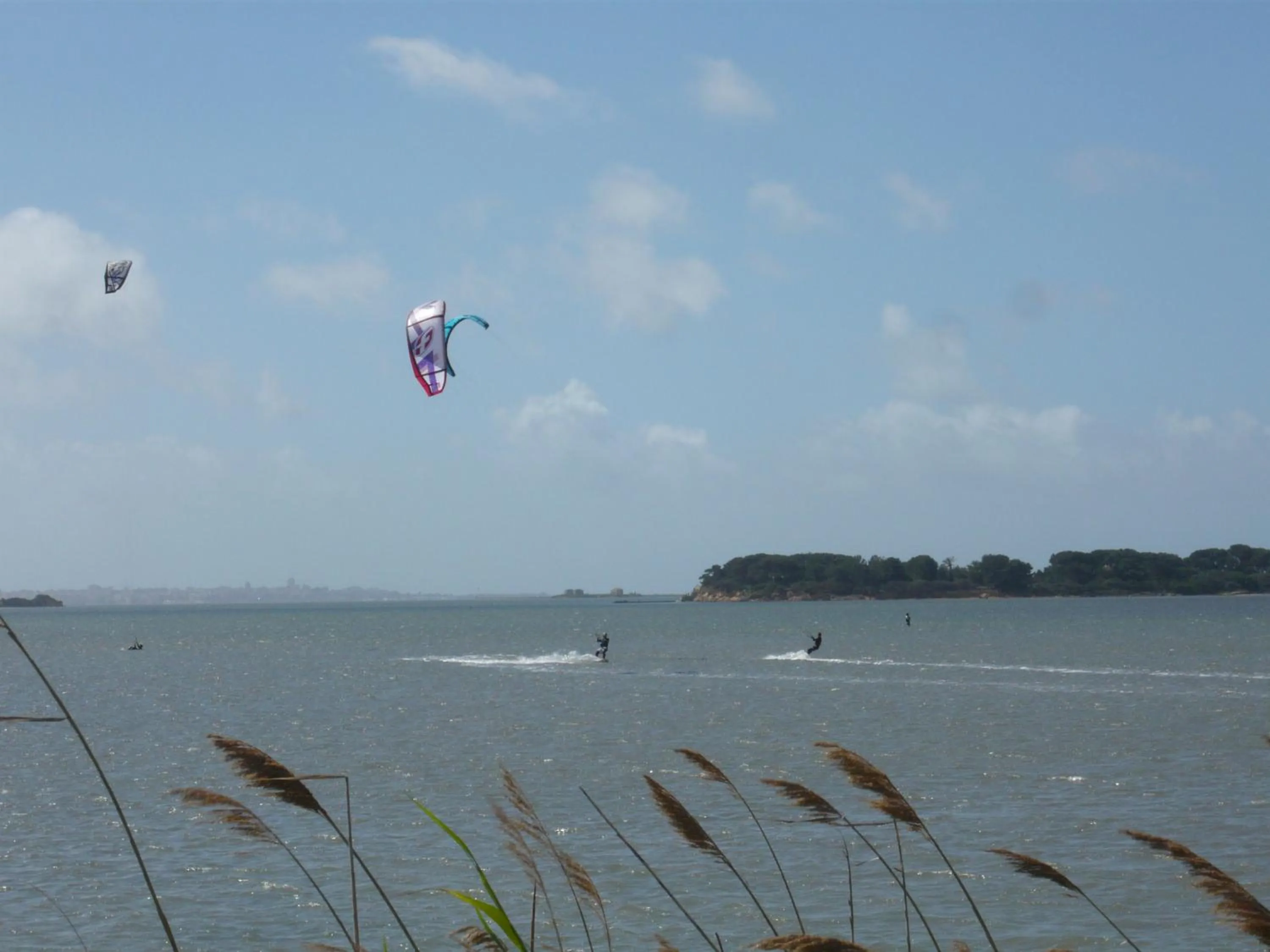 Natural landscape in Laguna dei Fenici