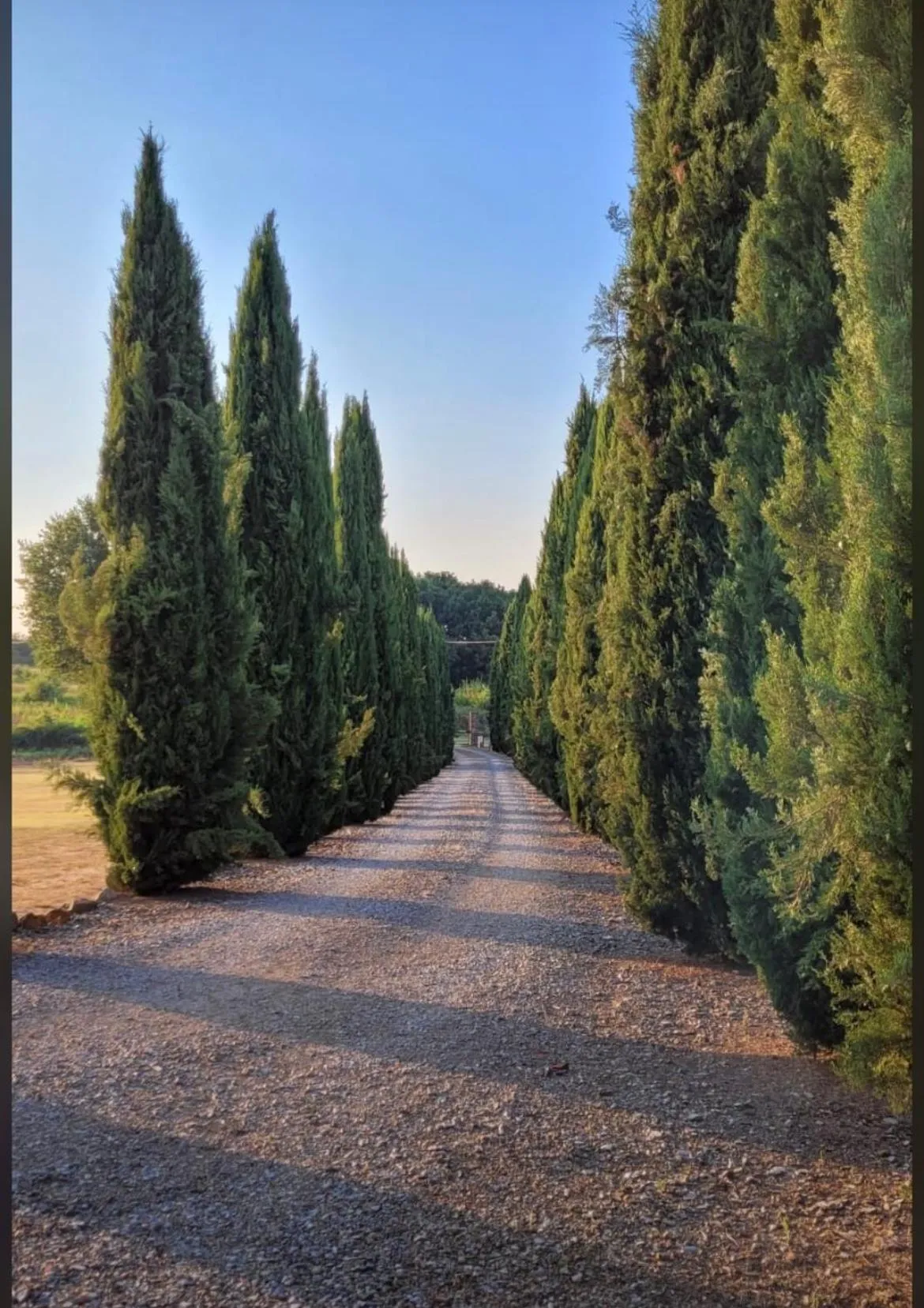 Natural landscape in Agriturismo Podere Delle Querci