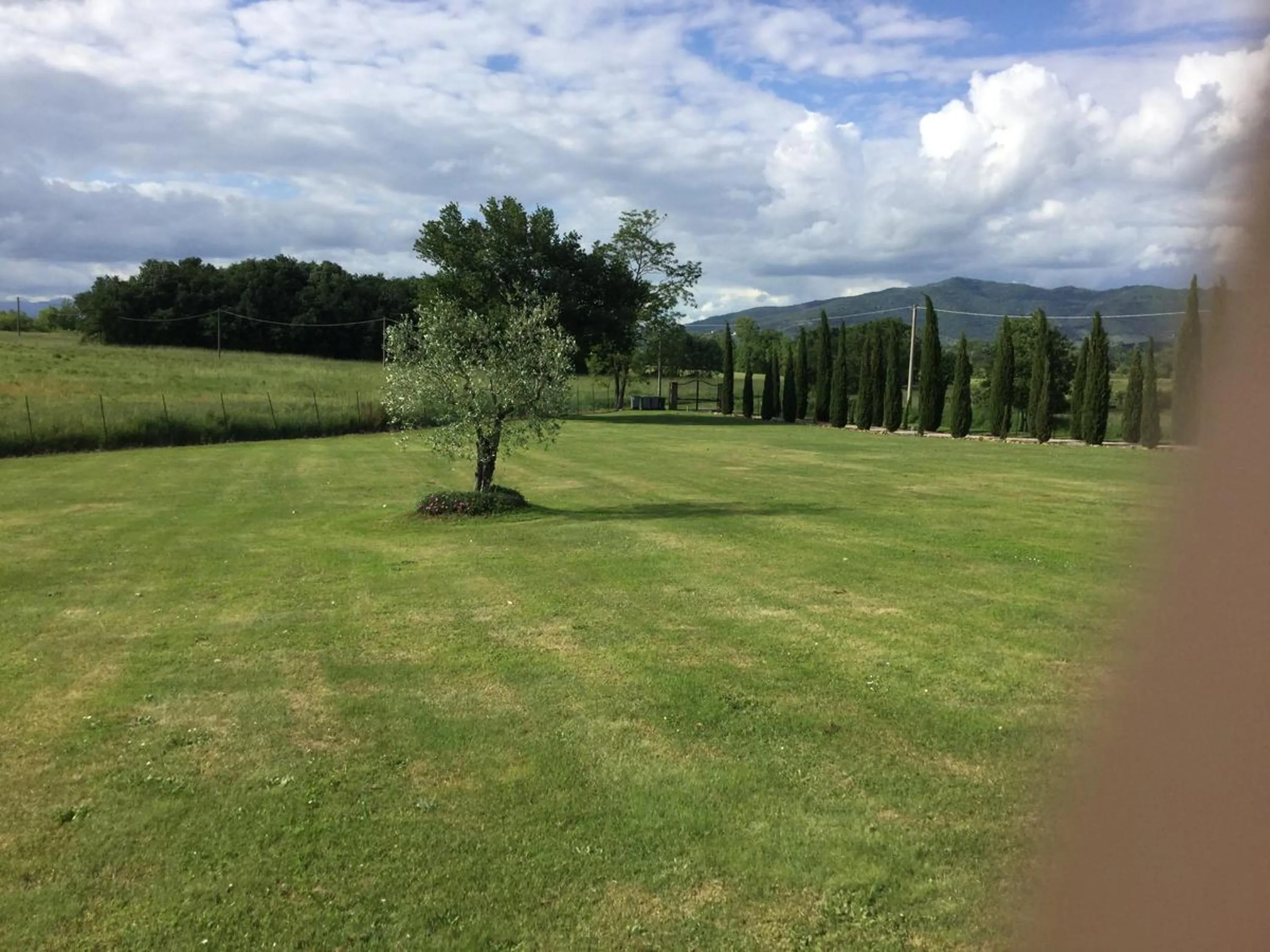 Garden in Agriturismo Podere Delle Querci