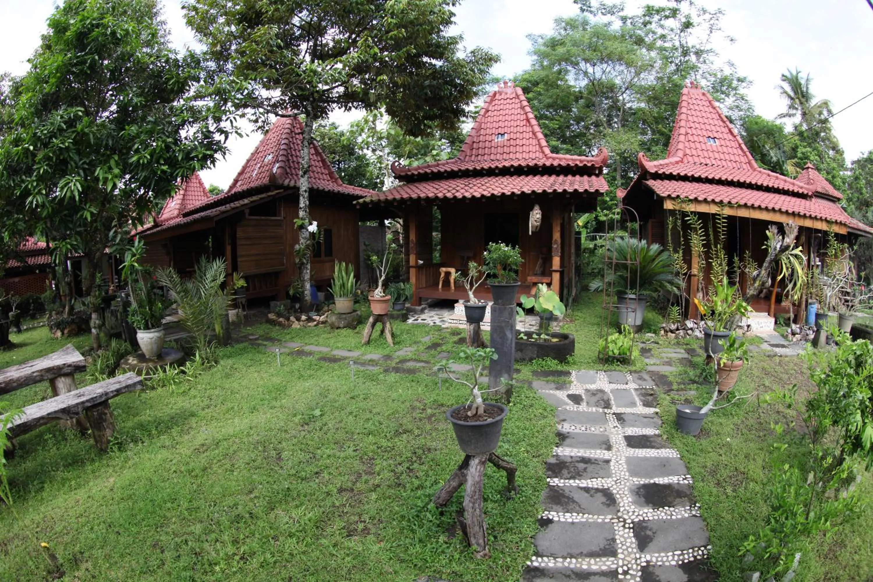 Garden in Omah Garengpoeng Guest House