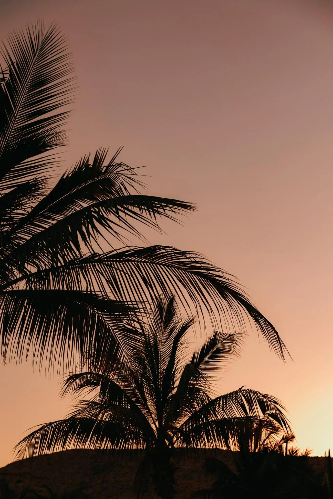 View (from property/room) in Jumeirah Muscat Bay Oman