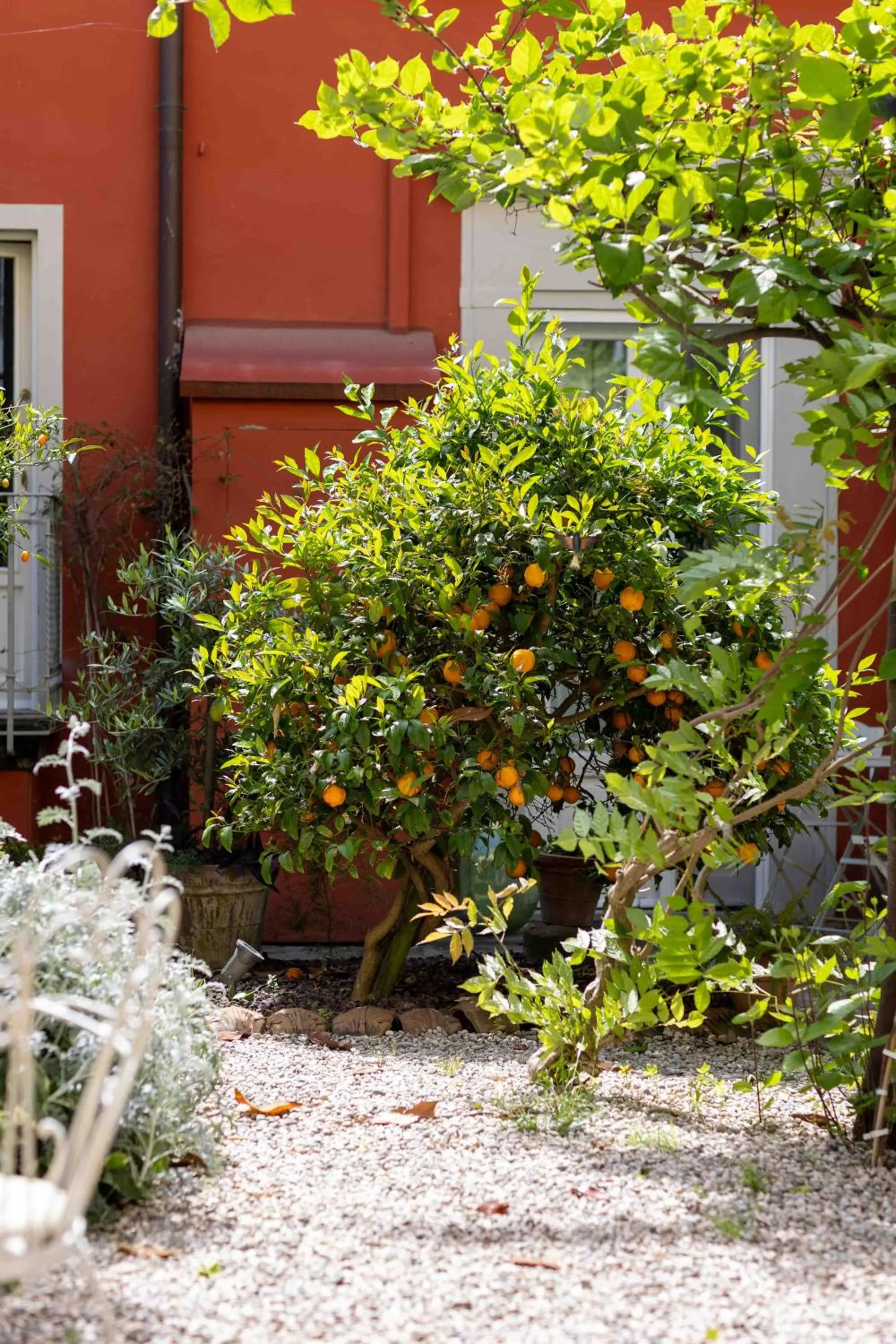 Garden in Secret Garden Firenze B&B