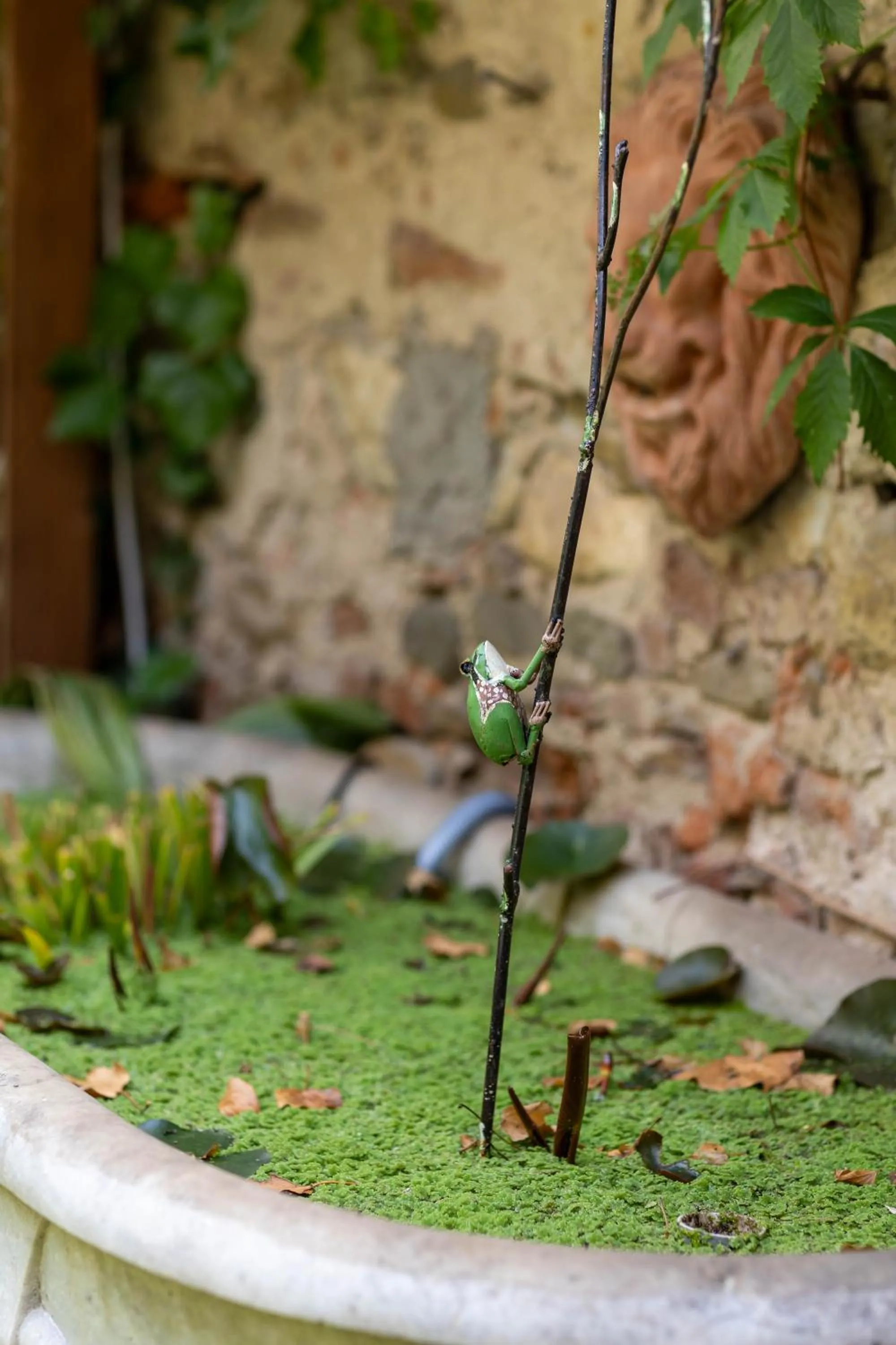 Garden in Secret Garden Firenze B&B