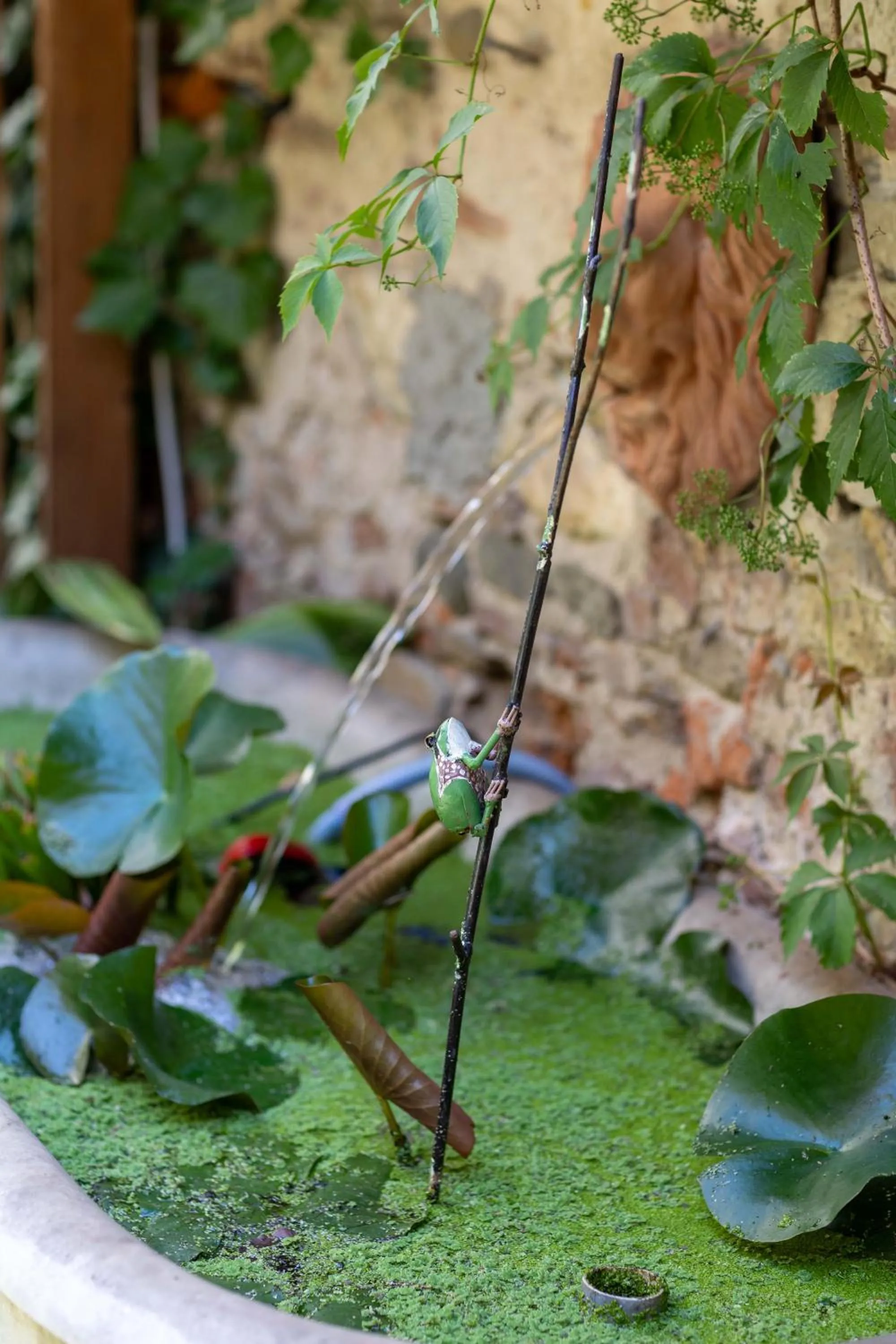 Garden in Secret Garden Firenze B&B