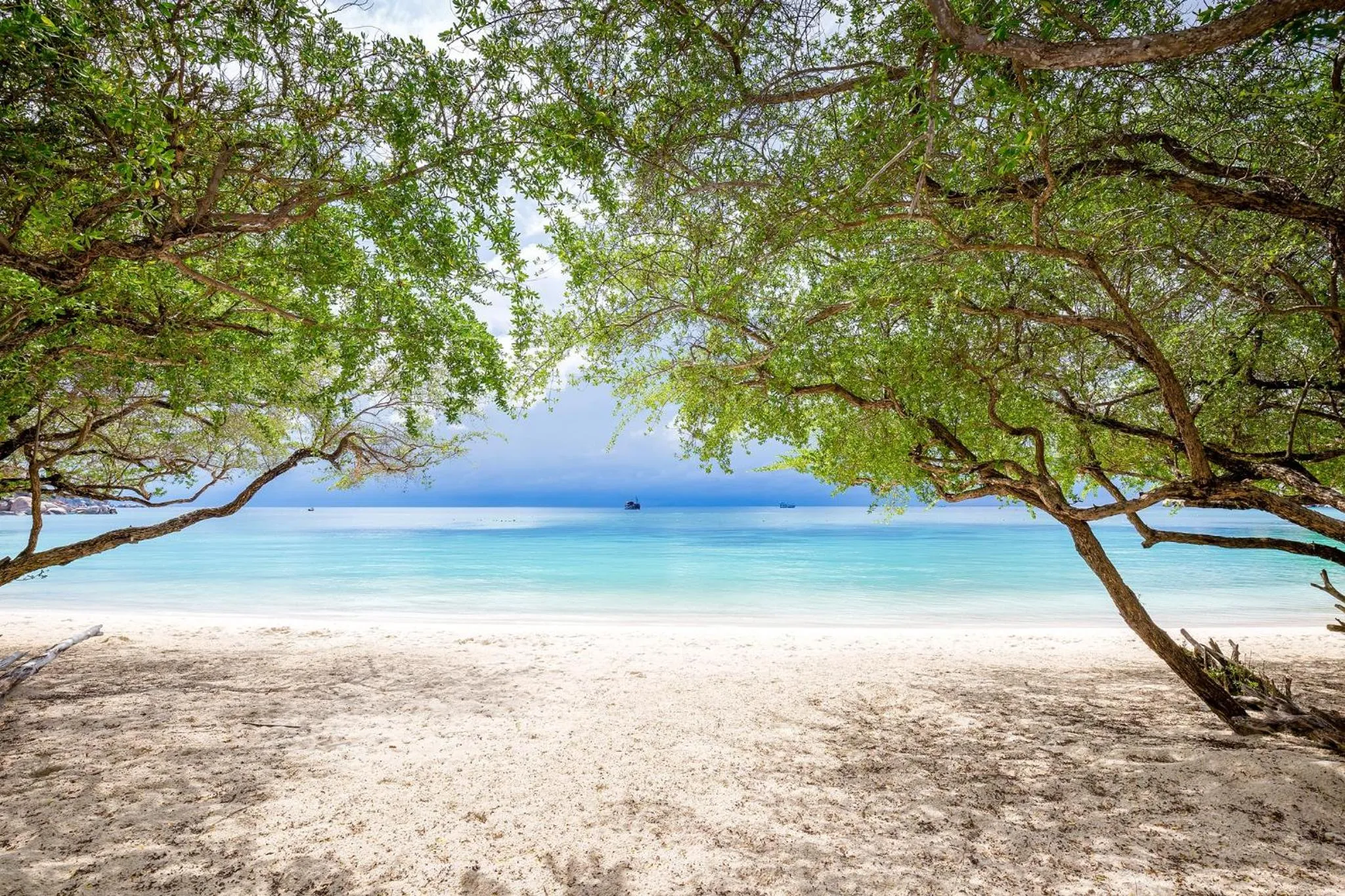 Beach in Beach Club by Haadtien