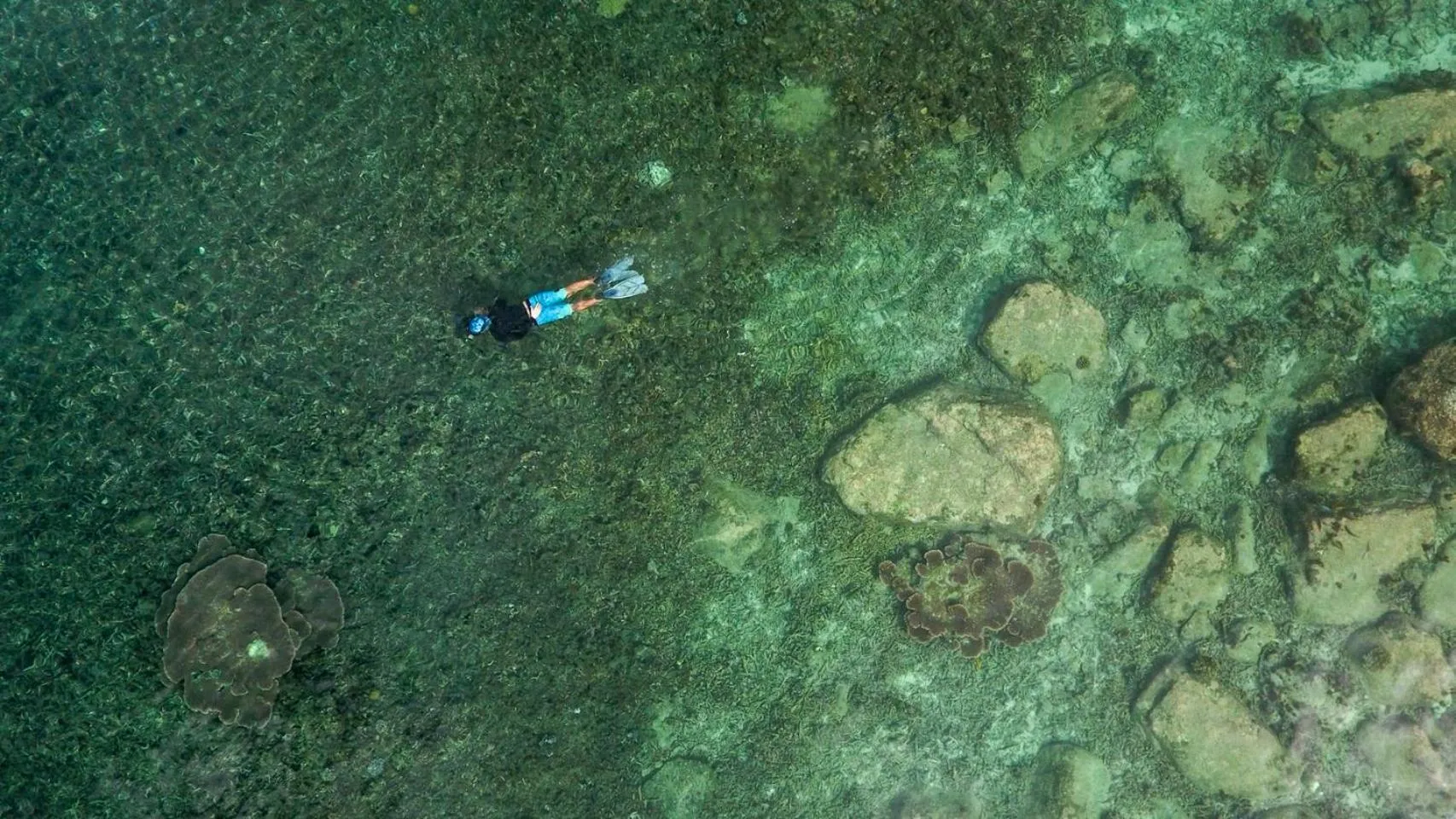 Activities in Beach Club by Haadtien