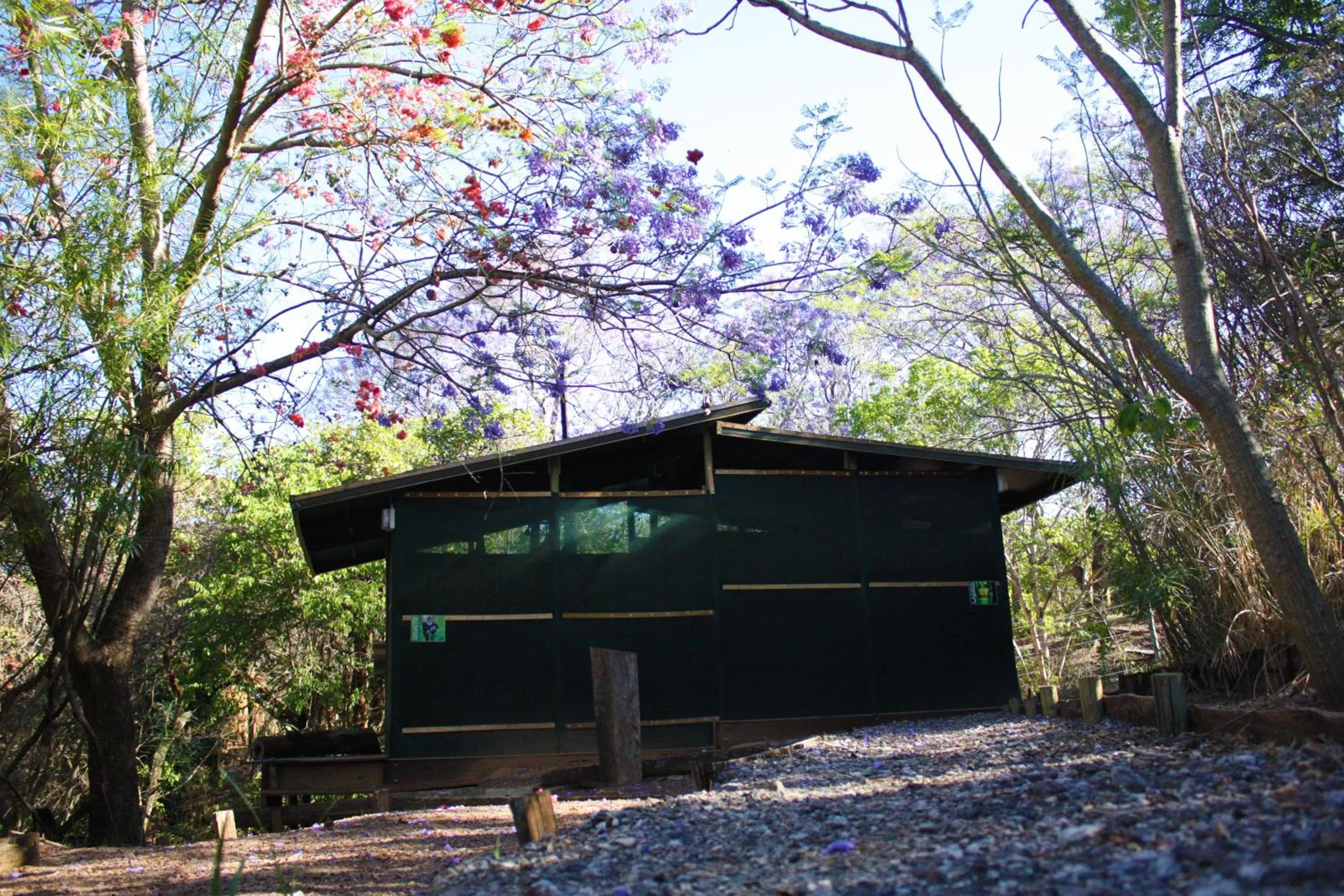 Facade/entrance in Hazyview Adventure Backpackers