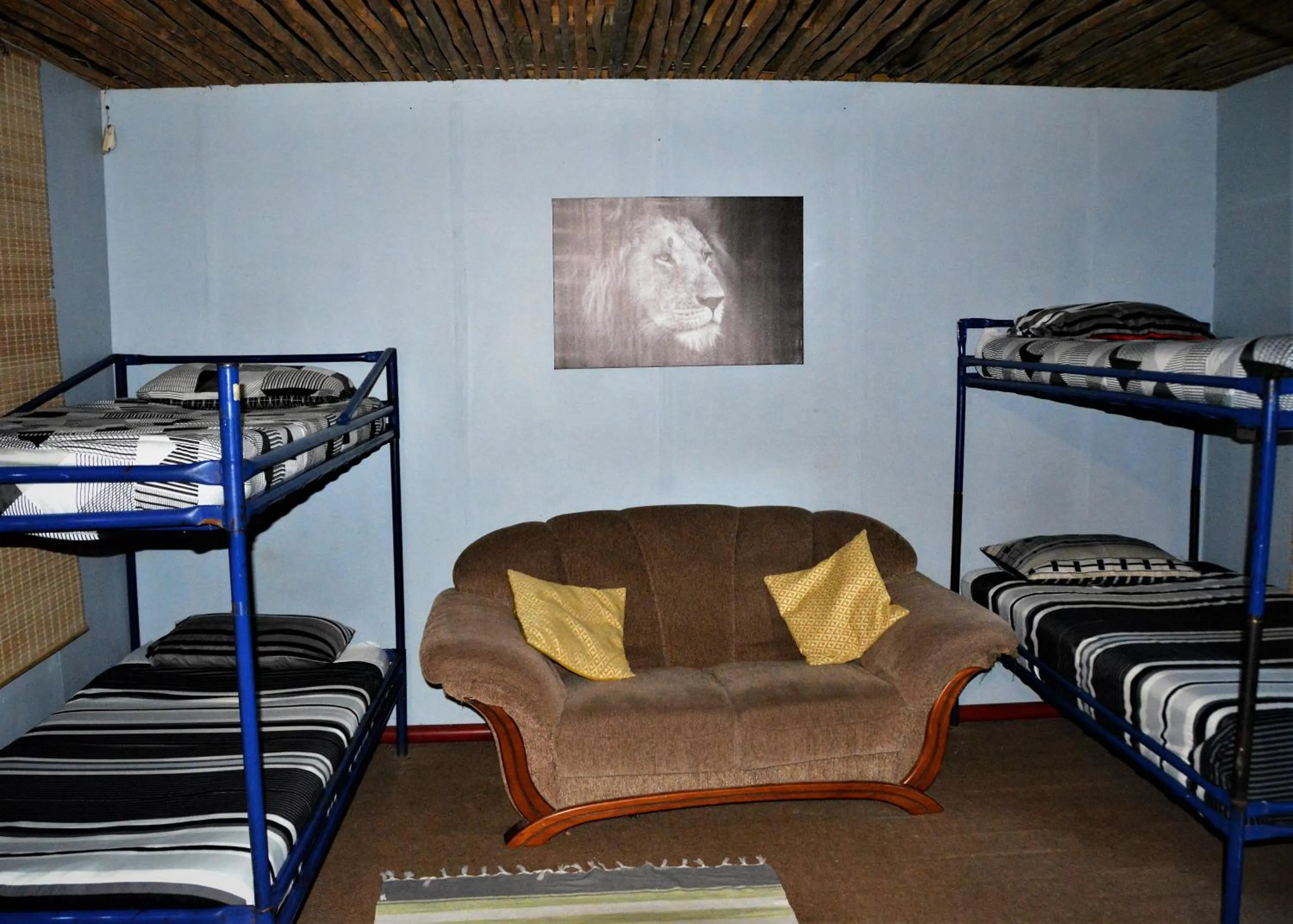 bunk bed, Bed in Hazyview Adventure Backpackers