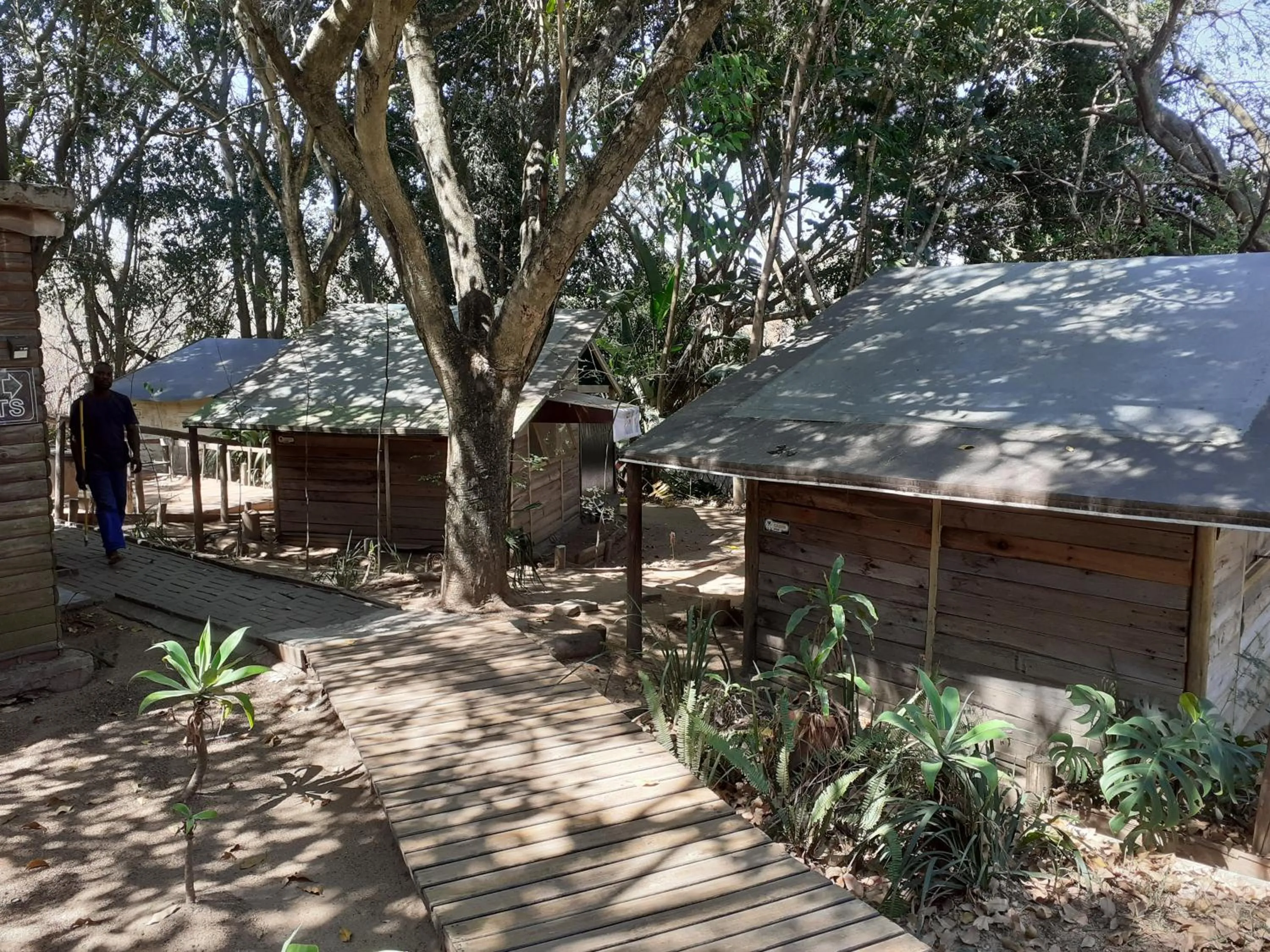 Garden in Hazyview Adventure Backpackers