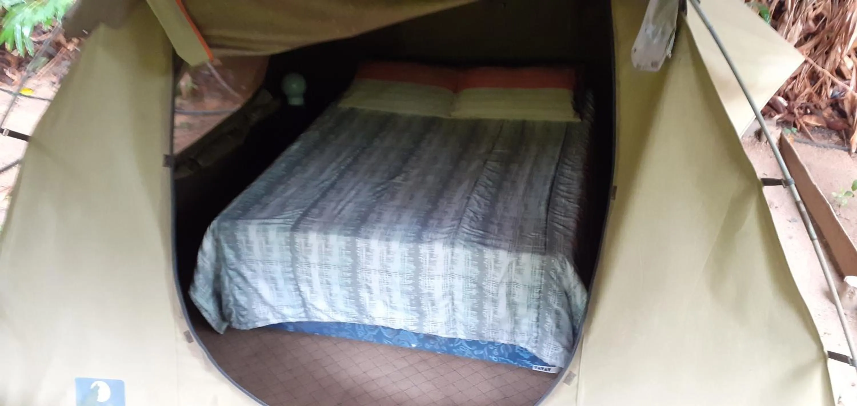 Bedroom, Bed in Hazyview Adventure Backpackers