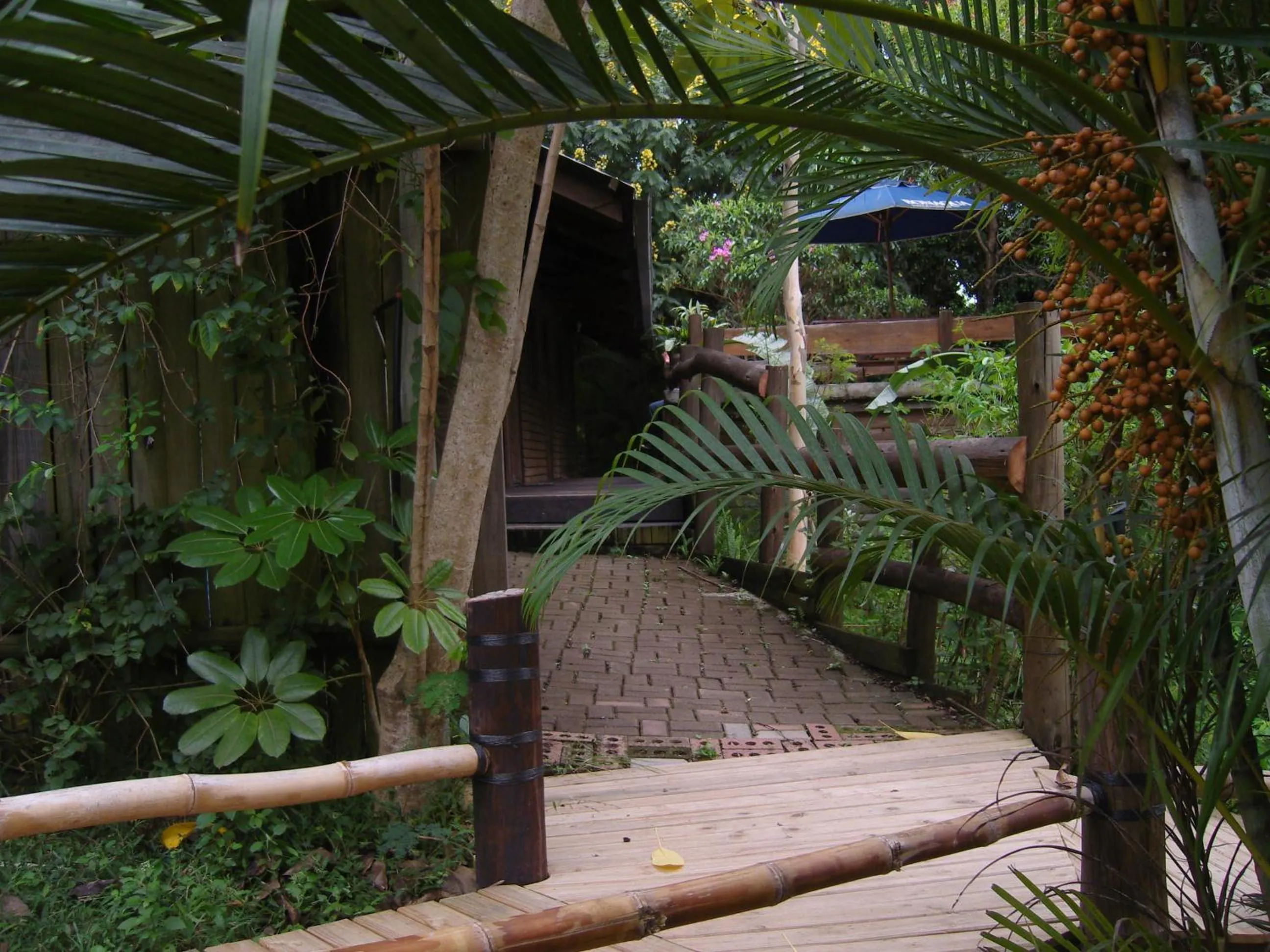 Garden in Hazyview Adventure Backpackers