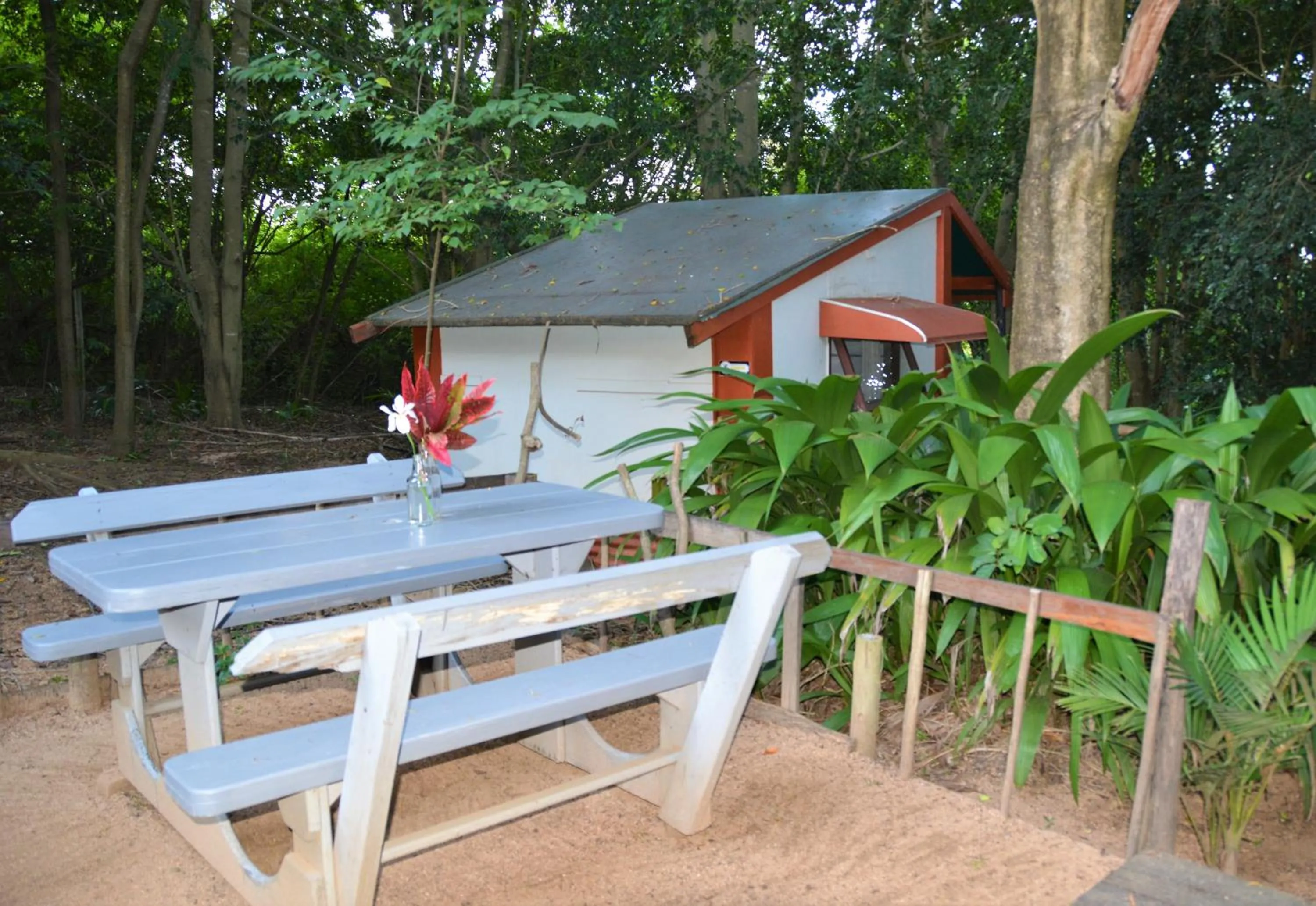 Patio in Hazyview Adventure Backpackers