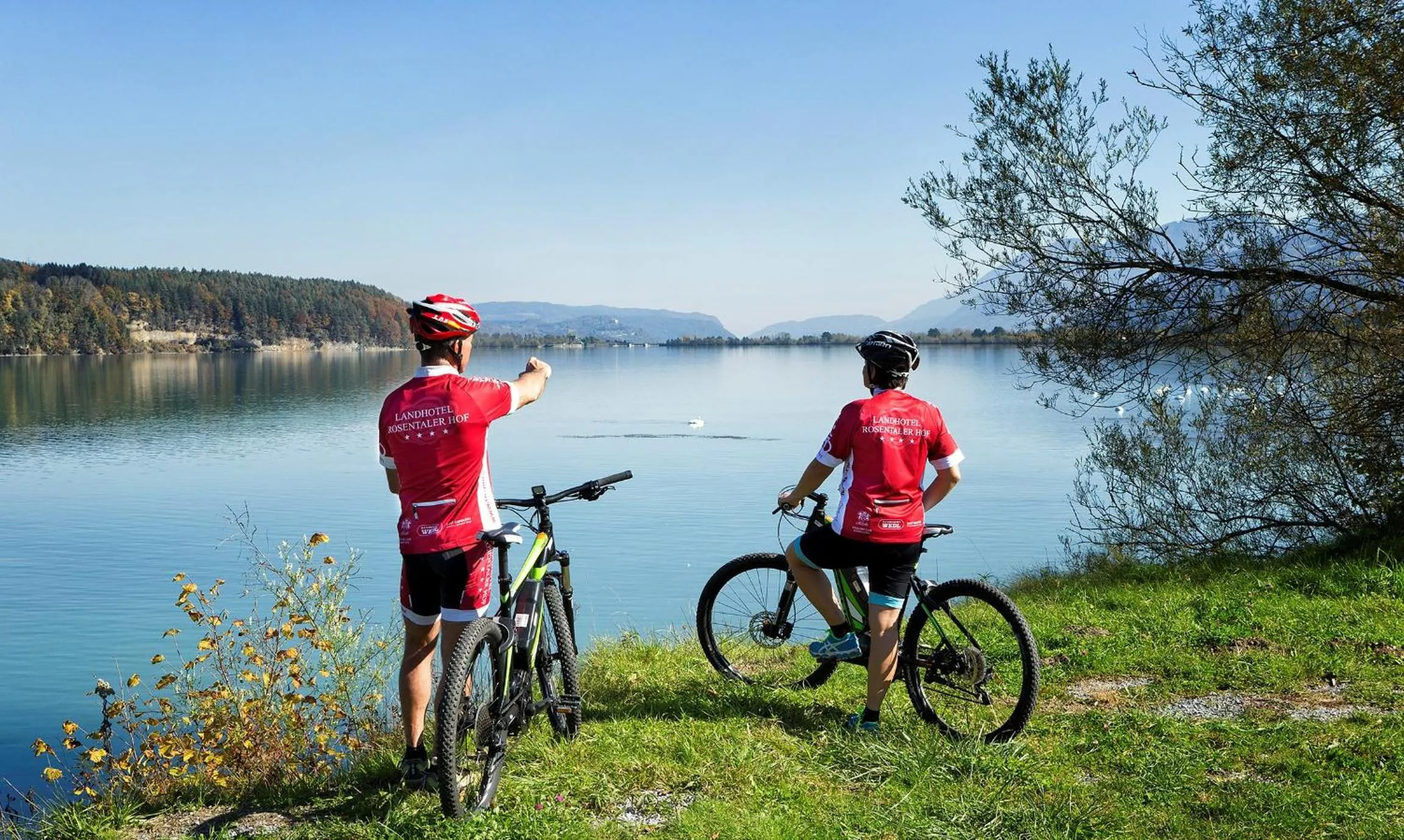 Cycling in Landhotel Rosentaler Hof