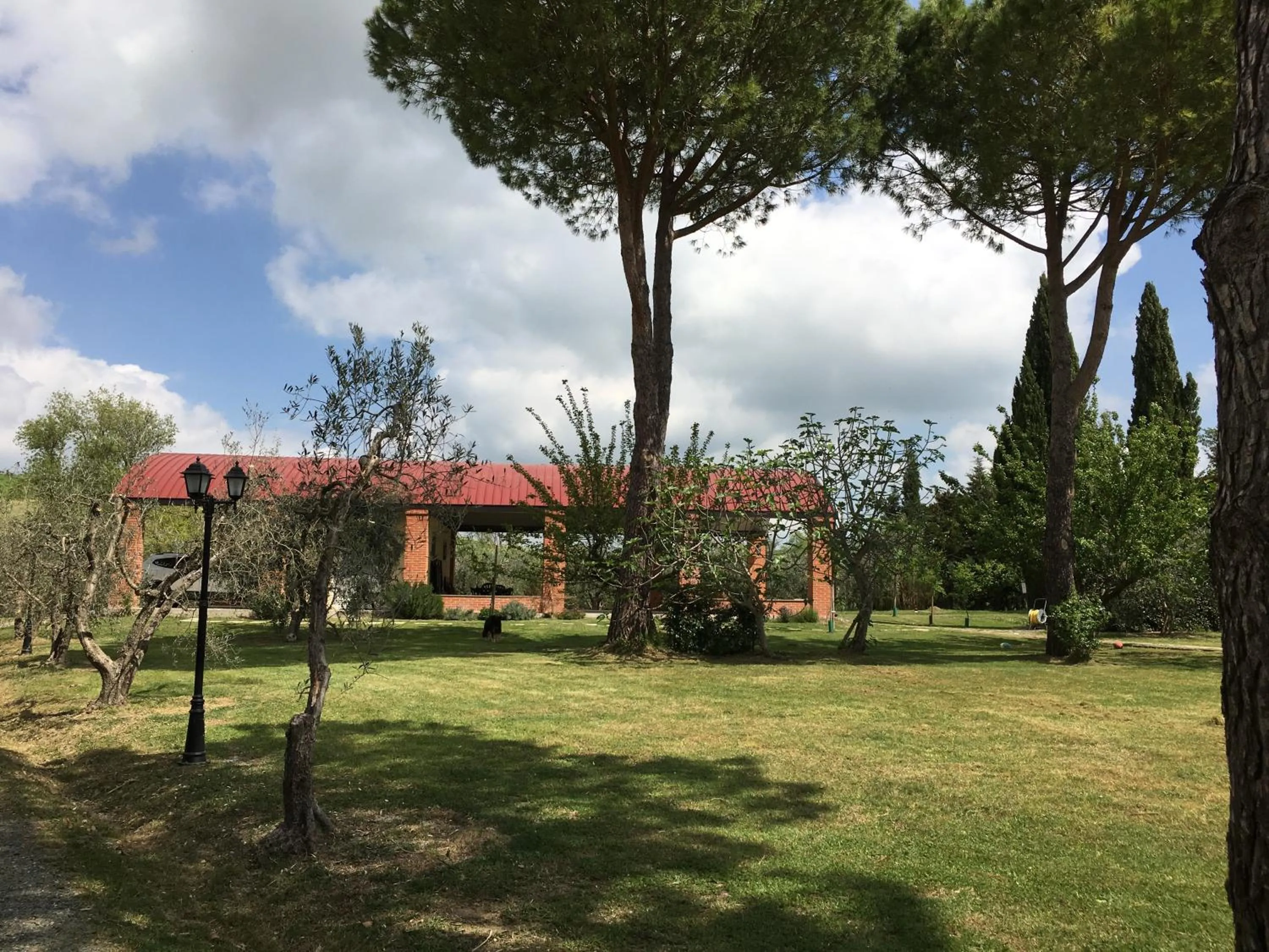 Garden in Podere Il Mulino