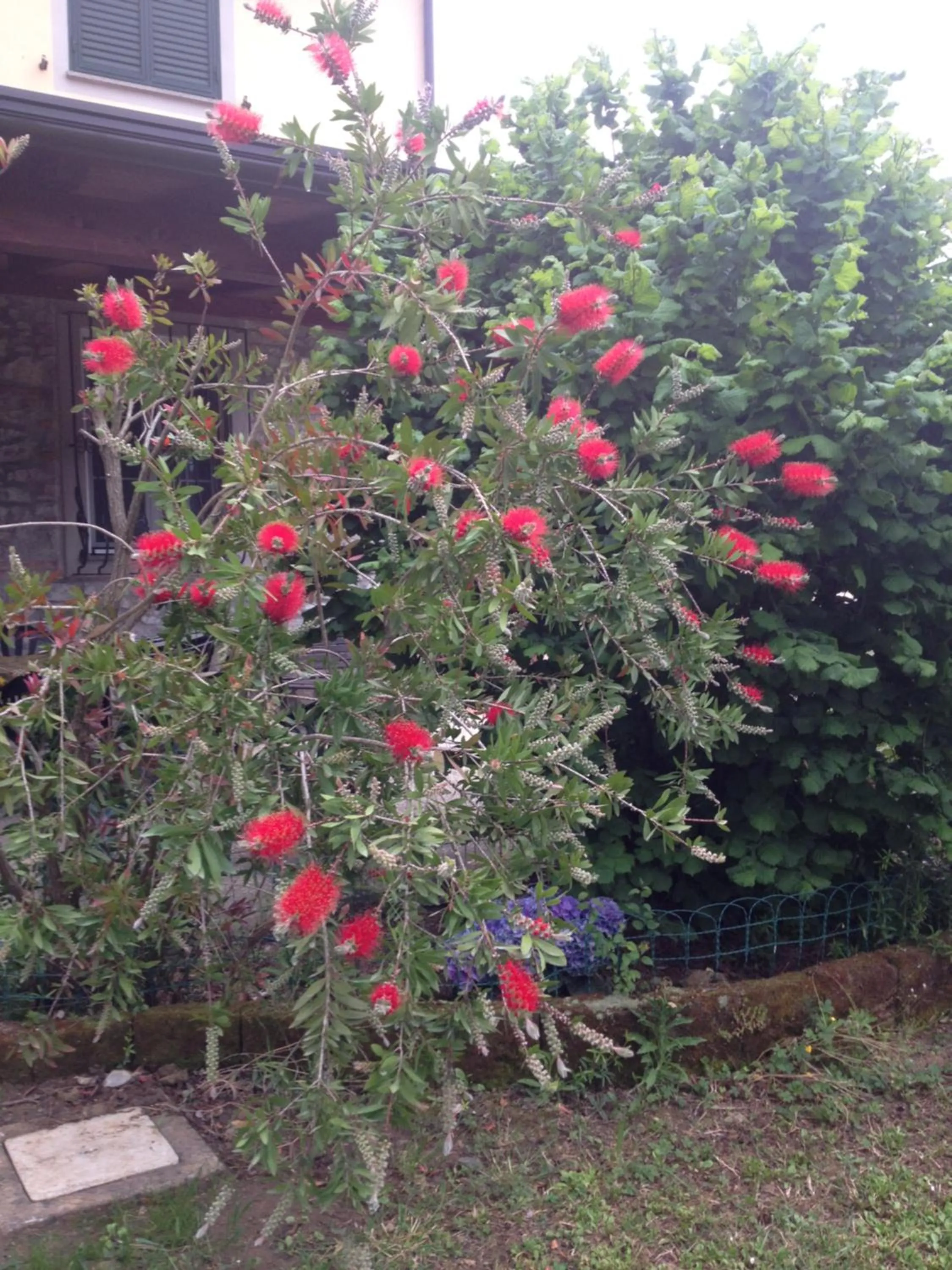 Garden in Podere Il Mulino