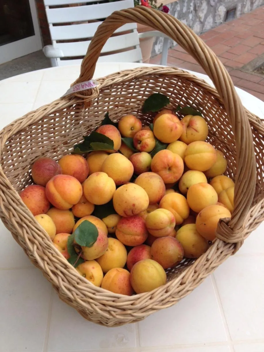 Food in Podere Il Mulino