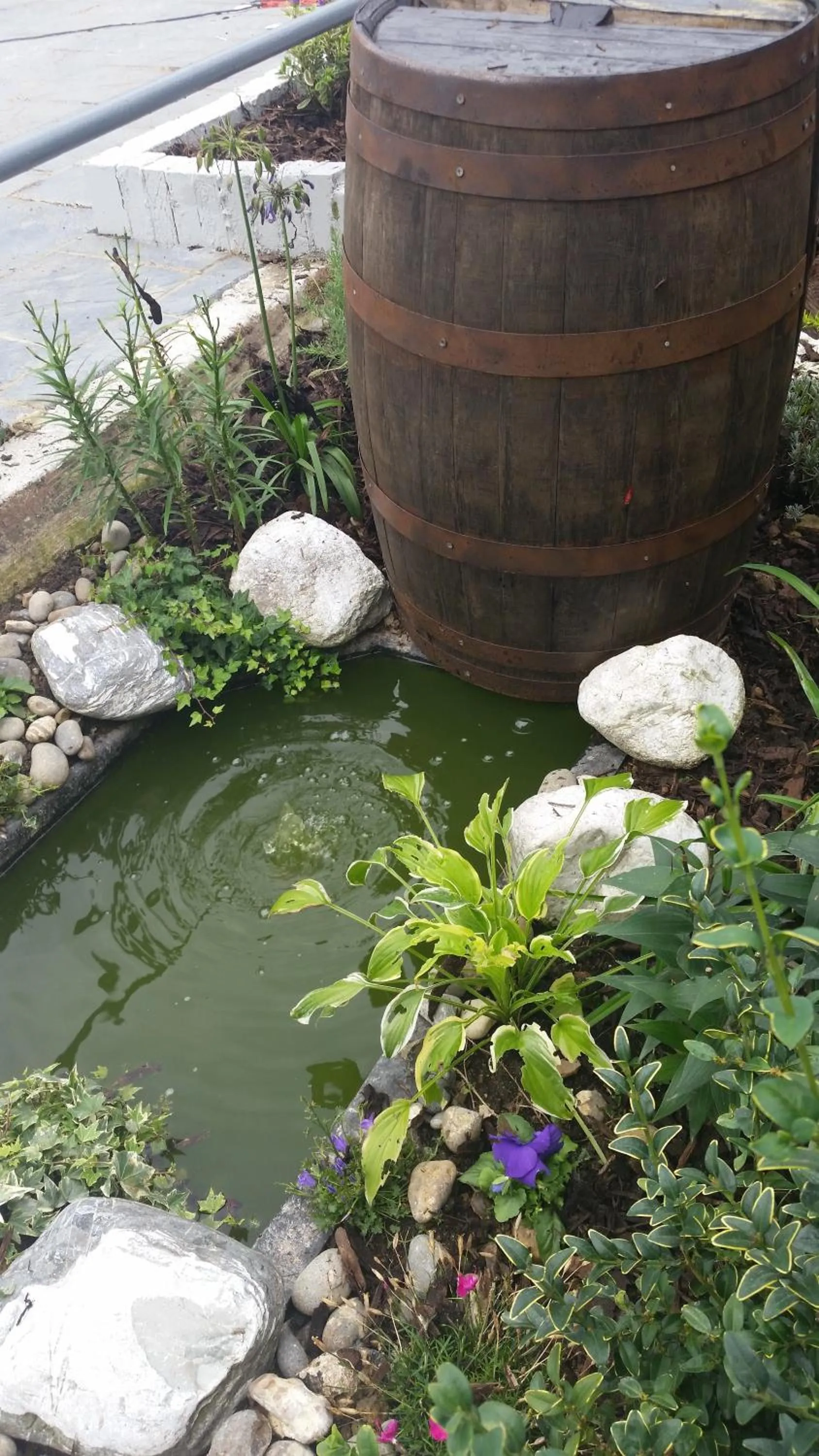 Garden in Castle Hotel