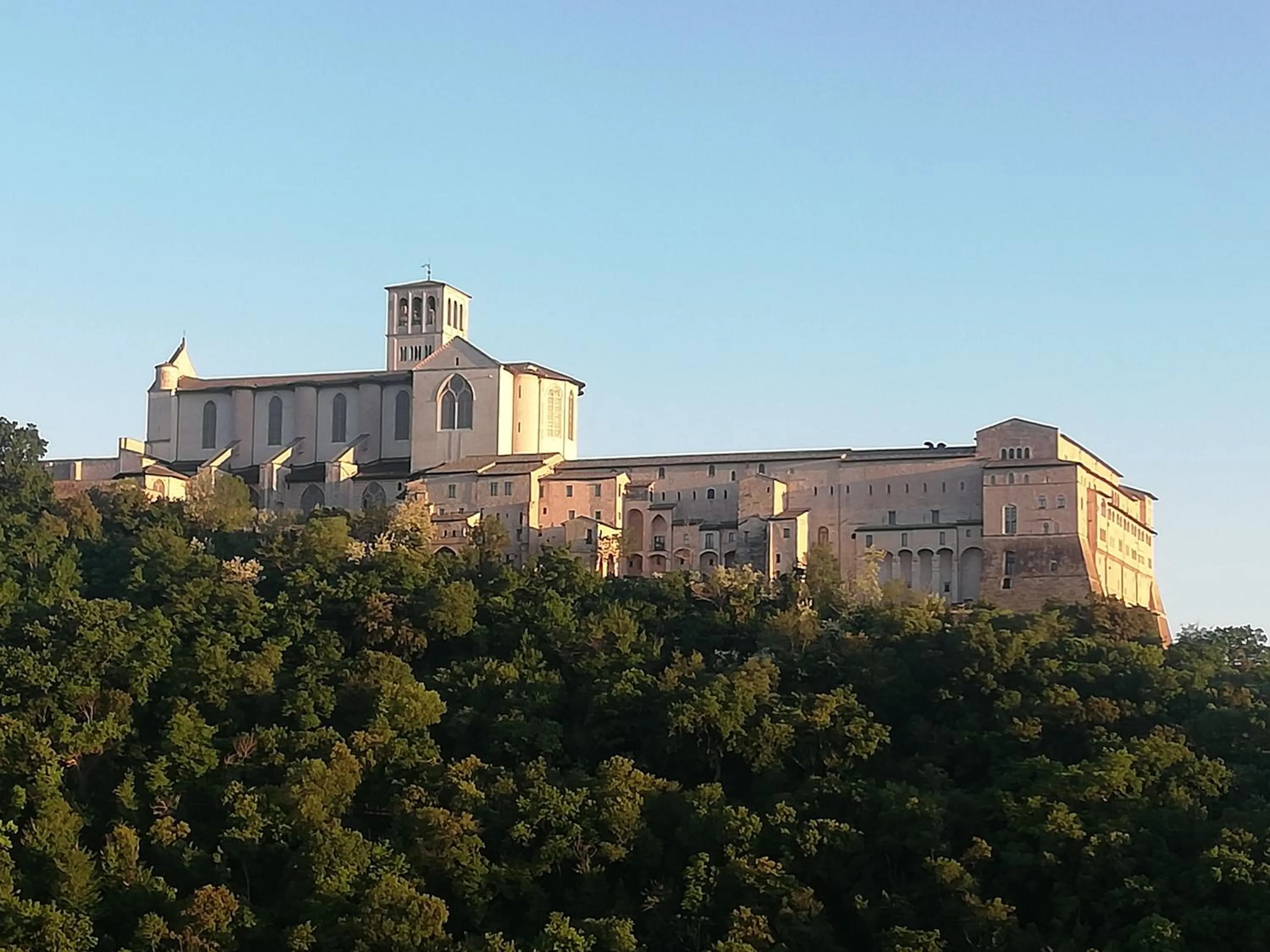 La Casa Tra Gli Ulivi