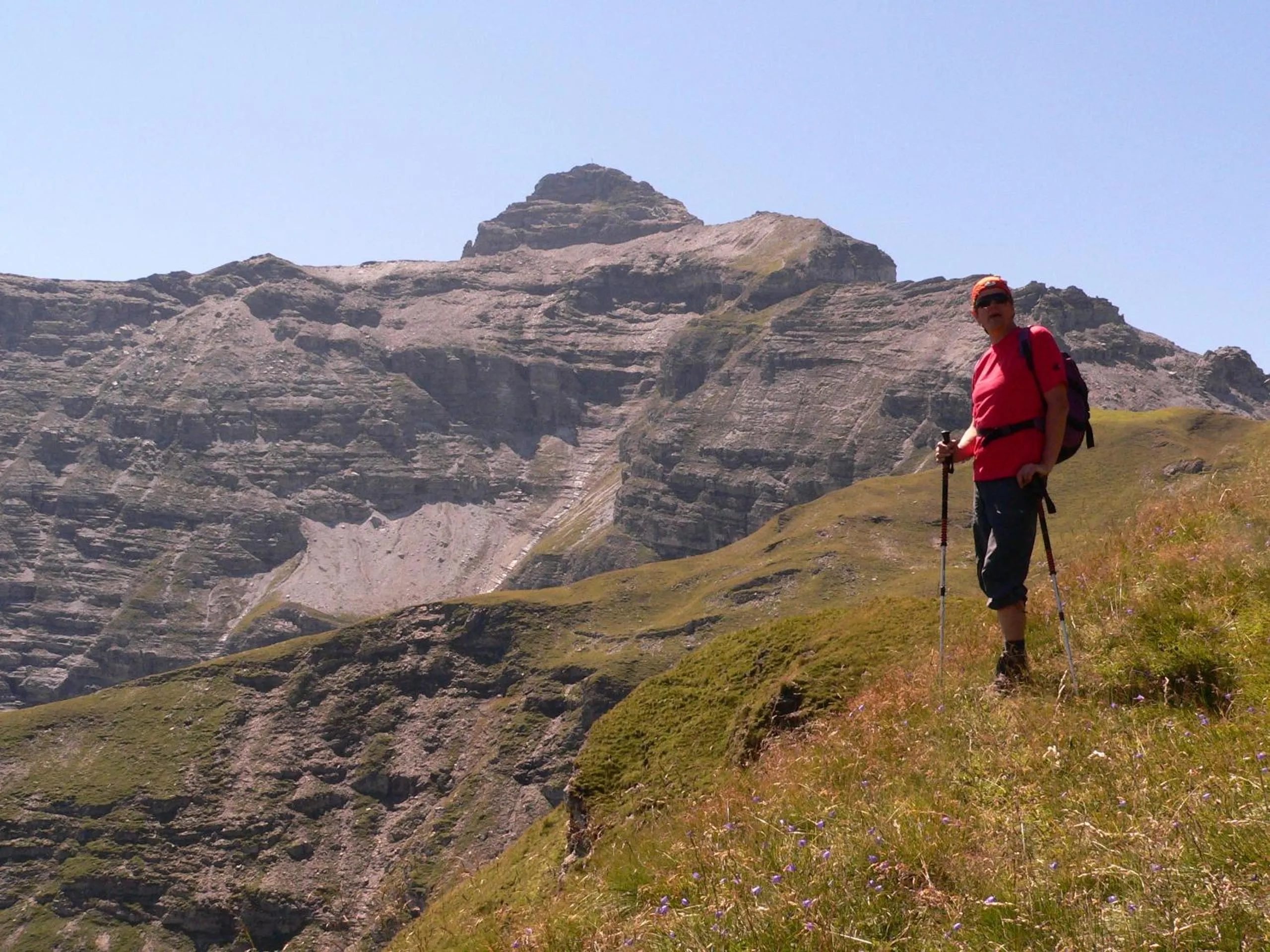 Area and facilities in Hotel Zita