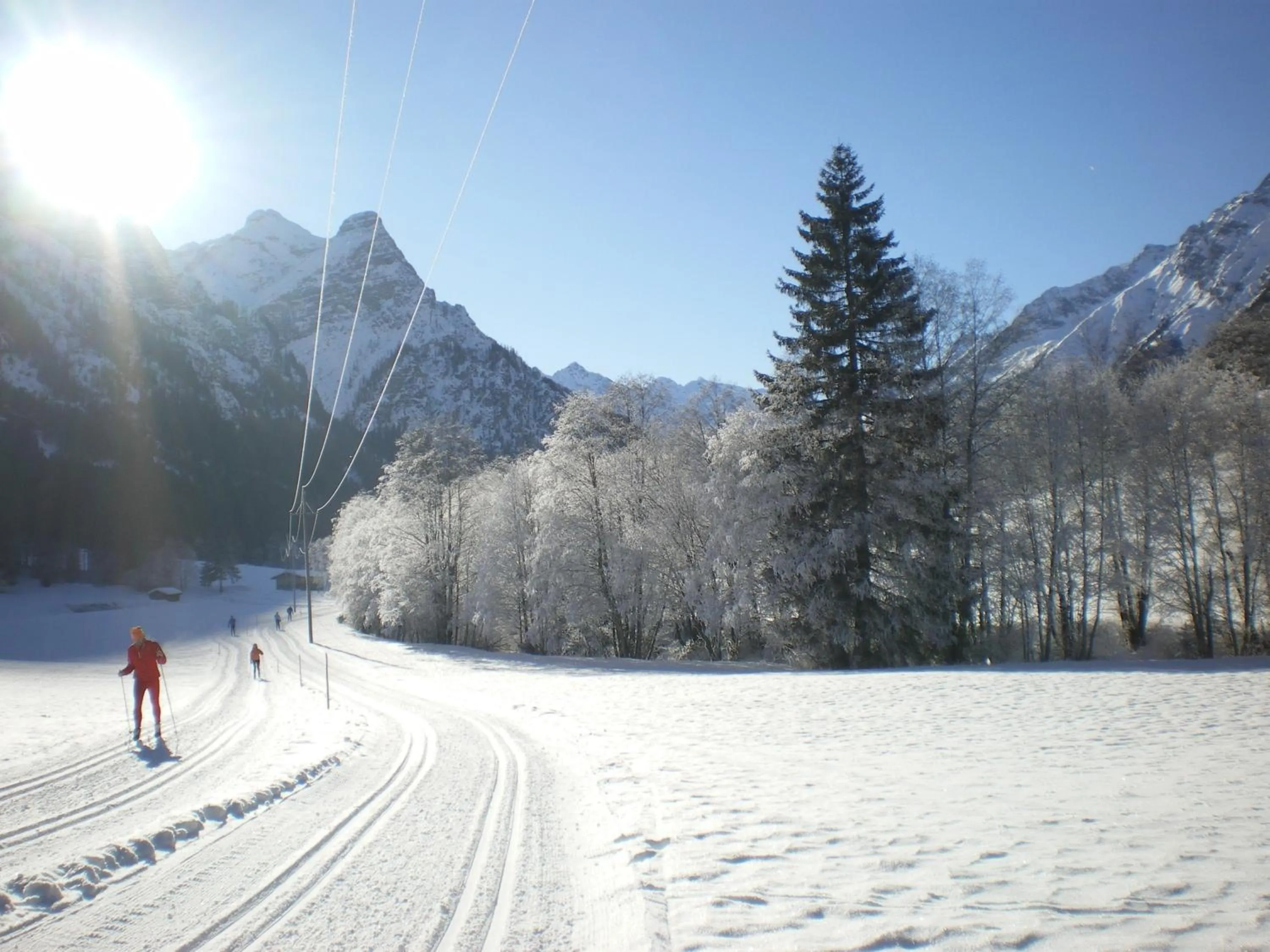 Area and facilities in Hotel Zita