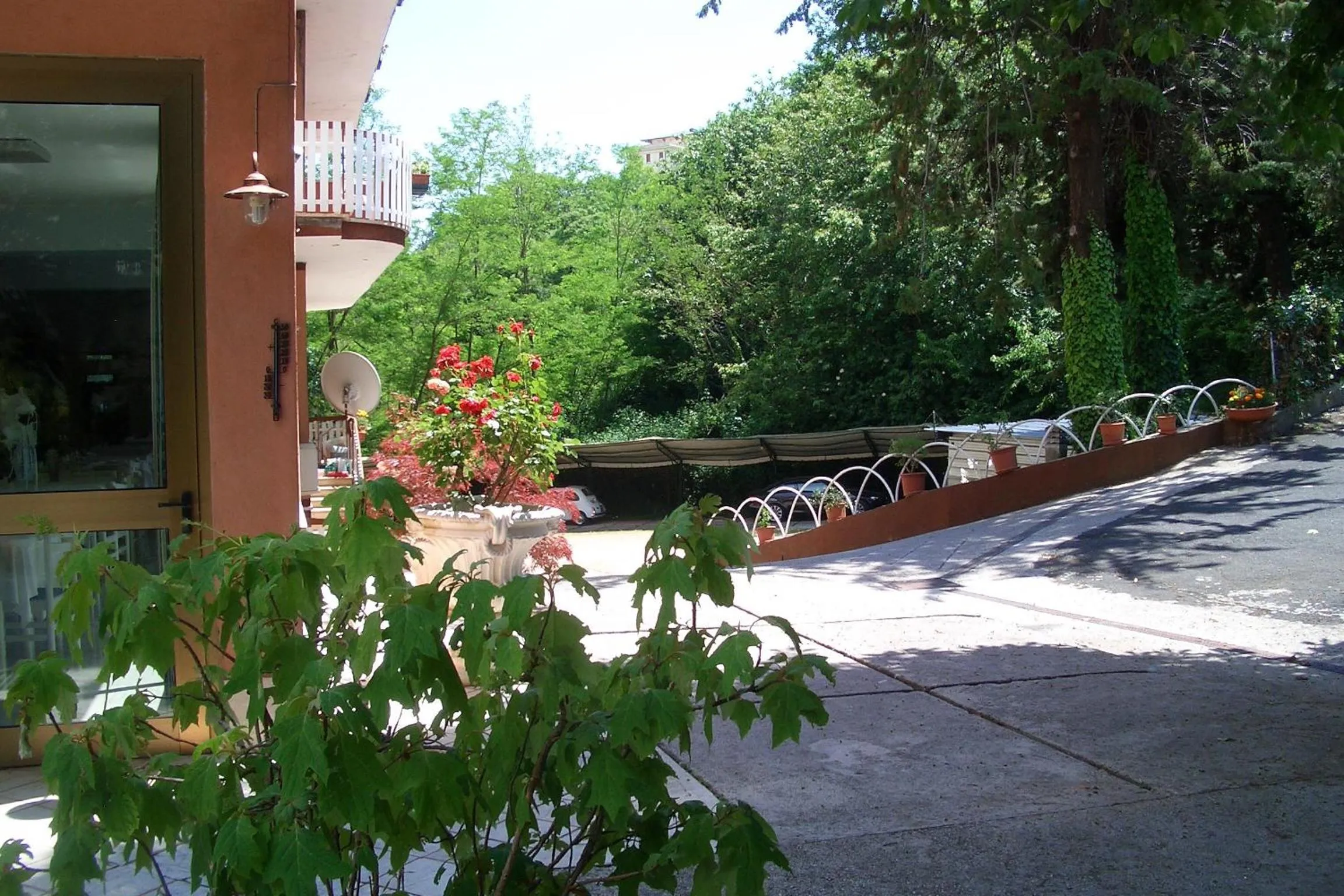 Garden in King Hotel