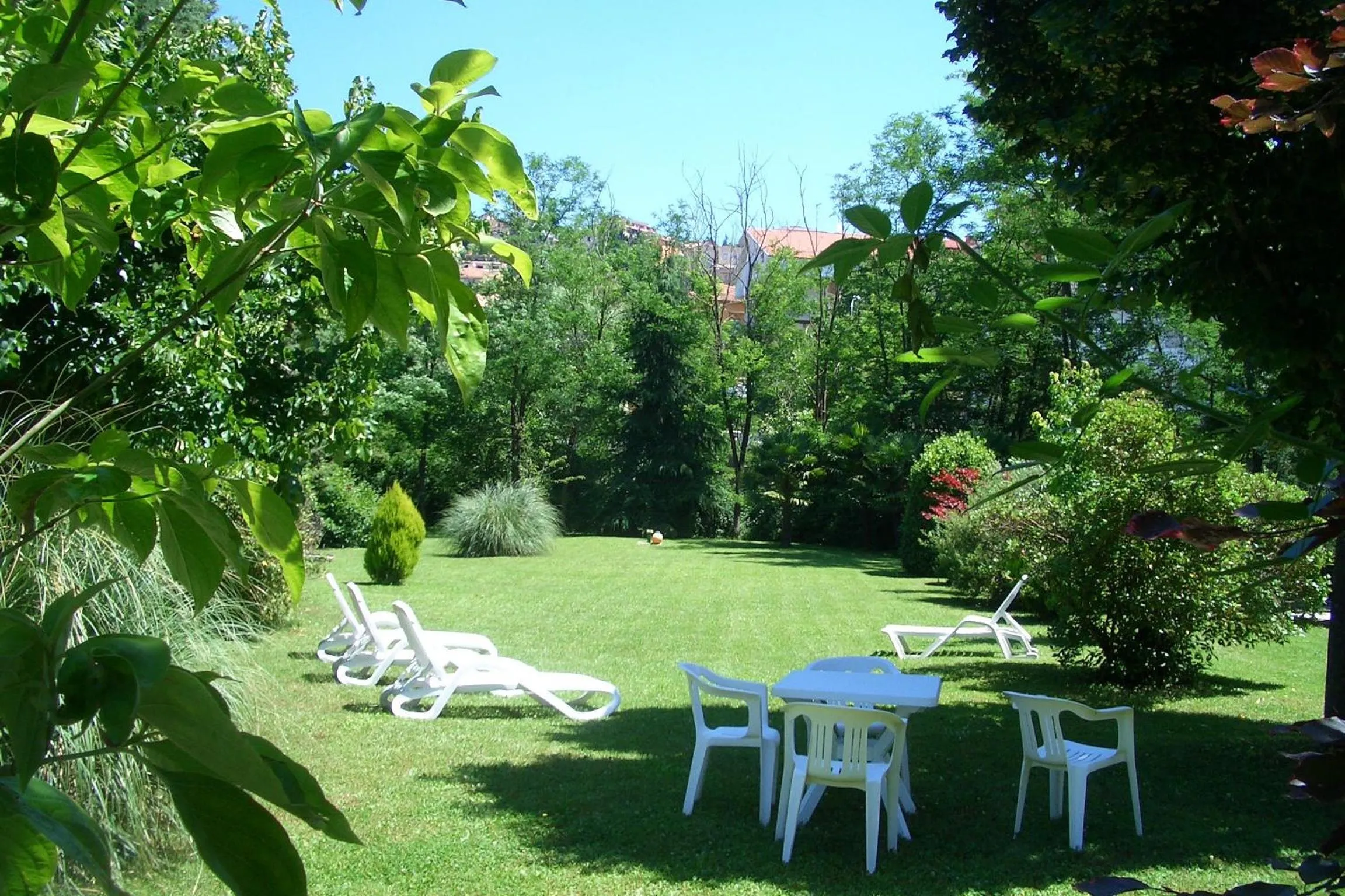 Natural landscape in King Hotel