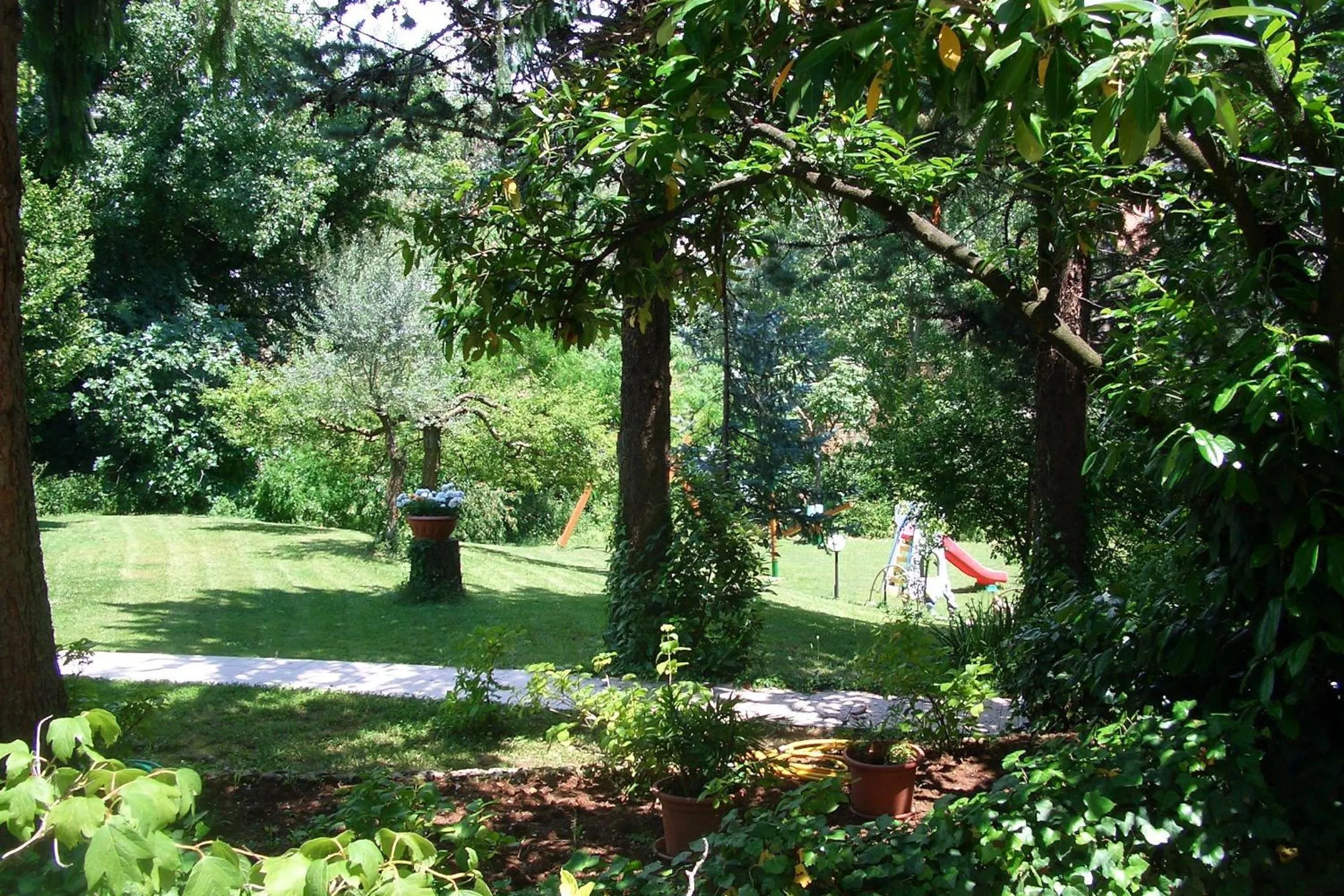 Garden in King Hotel