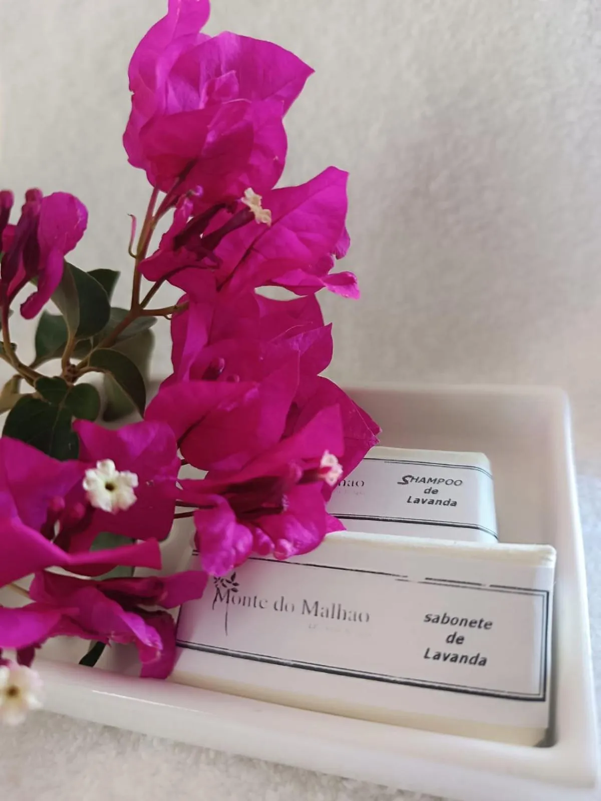 Monte Do Malhao - Art, Eco & Spa