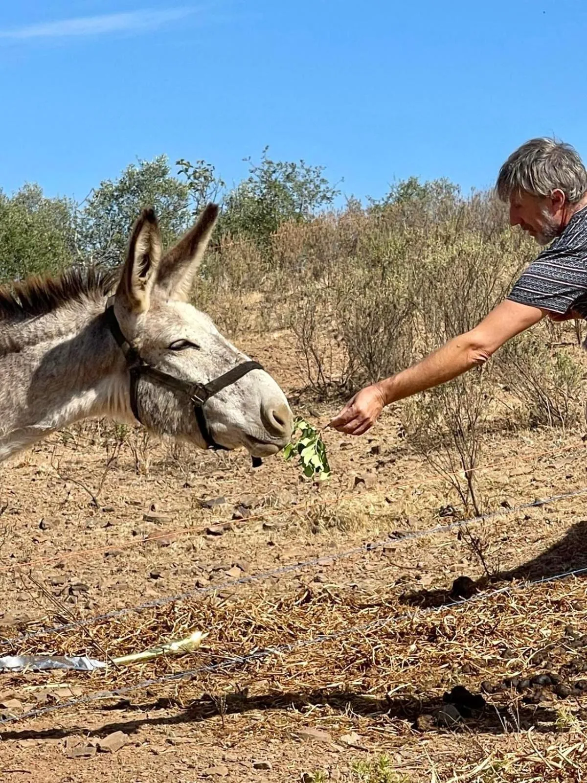 Monte Do Malhao - Art, Eco & Spa