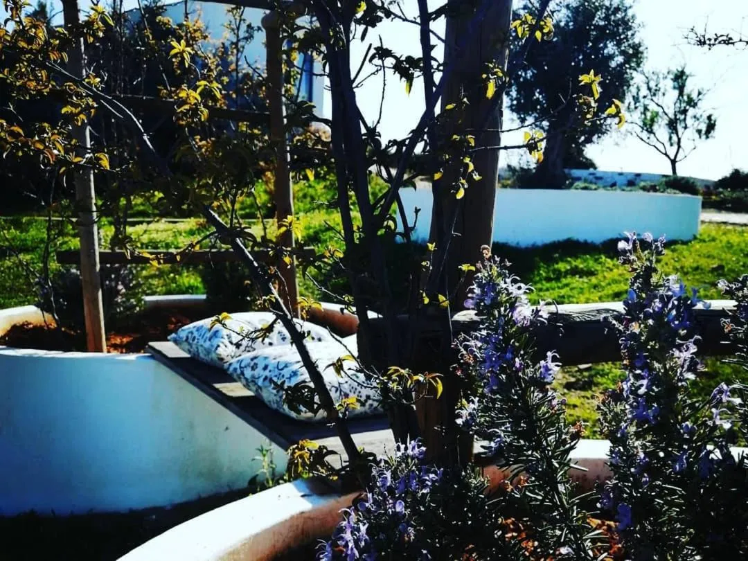 Monte Do Malhao - Art, Eco & Spa