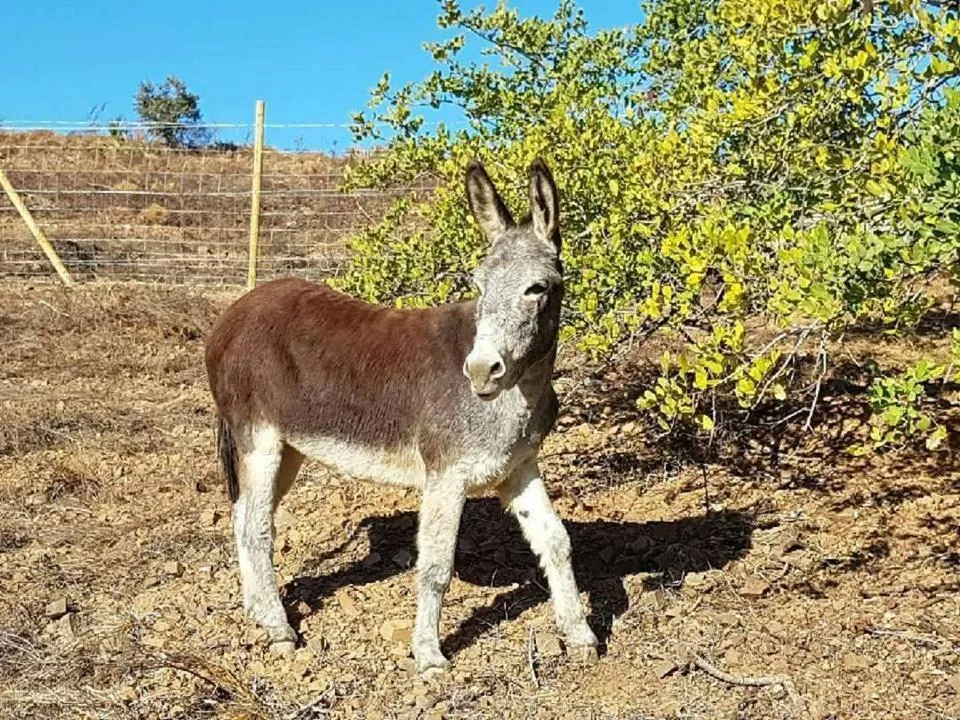 Monte Do Malhao - Art, Eco & Spa