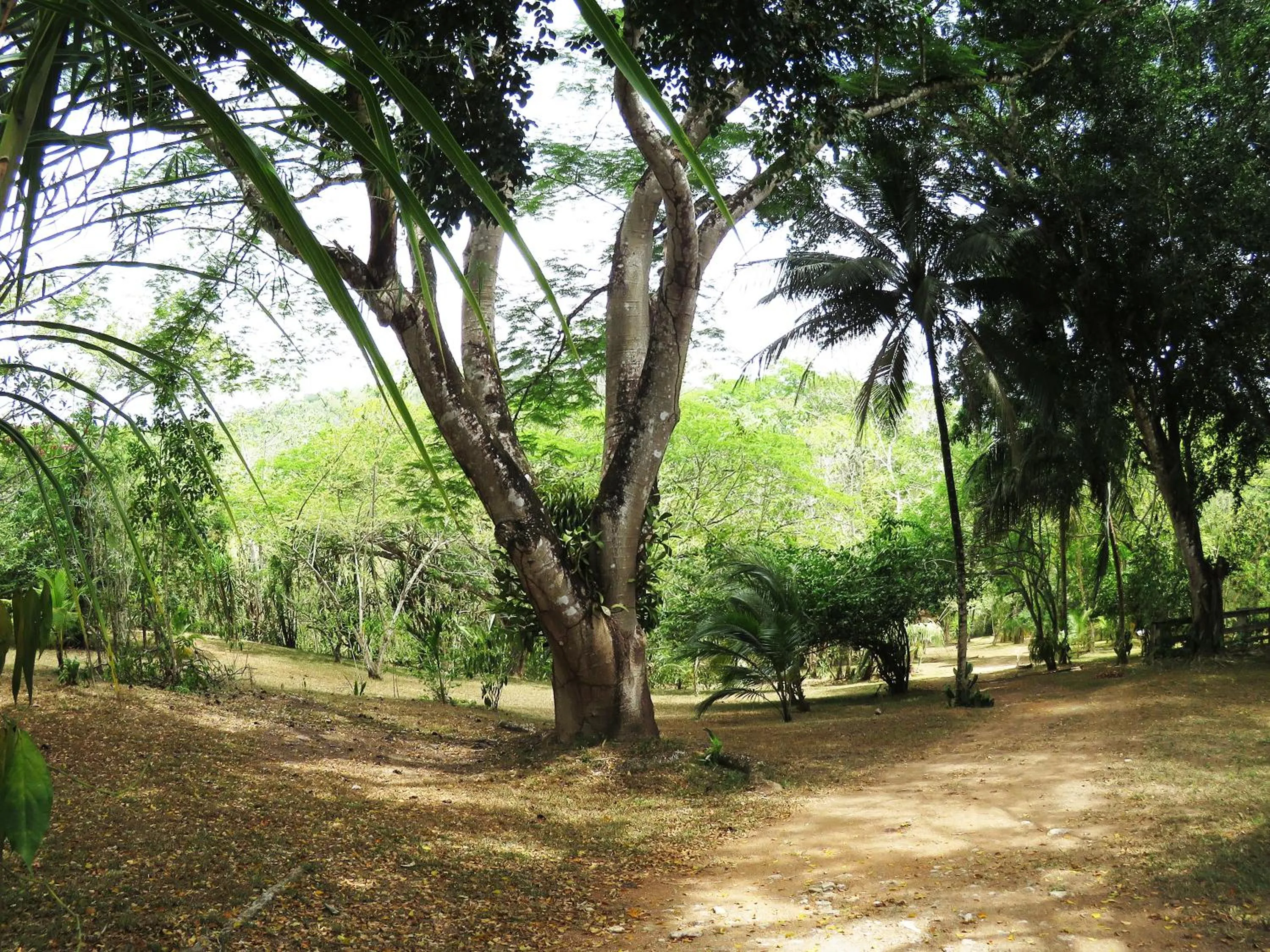 Property building in Crystal Paradise Resort