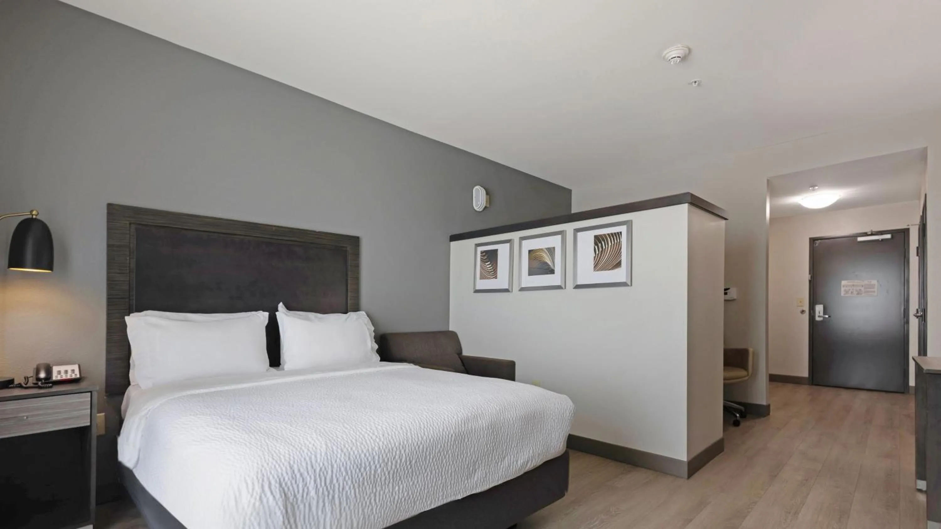 Photo of the whole room, Bed in Holiday Inn Texarkana Arkansas Convention Center by IHG