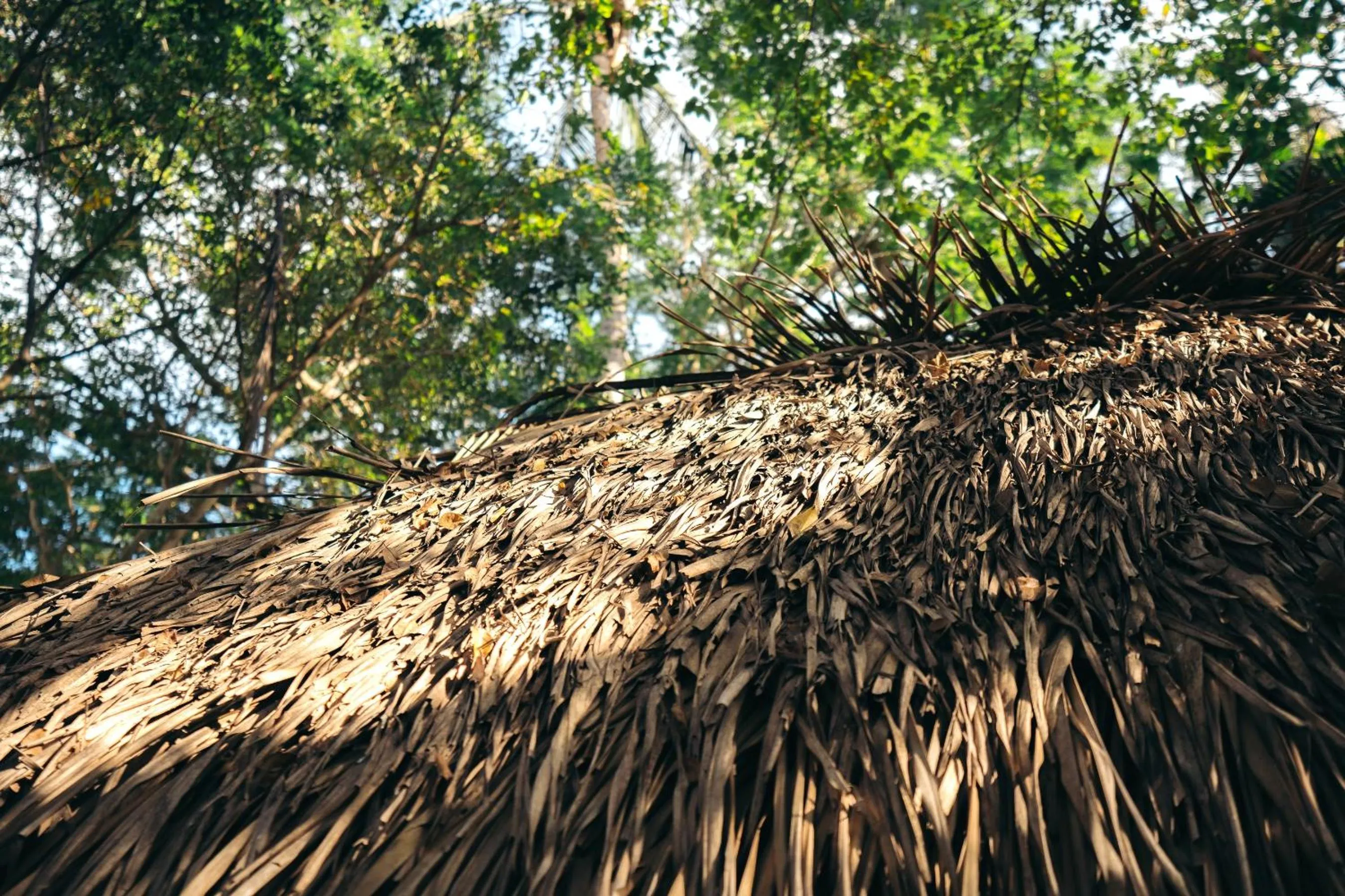 Junto al Rio Bungalows & Suites