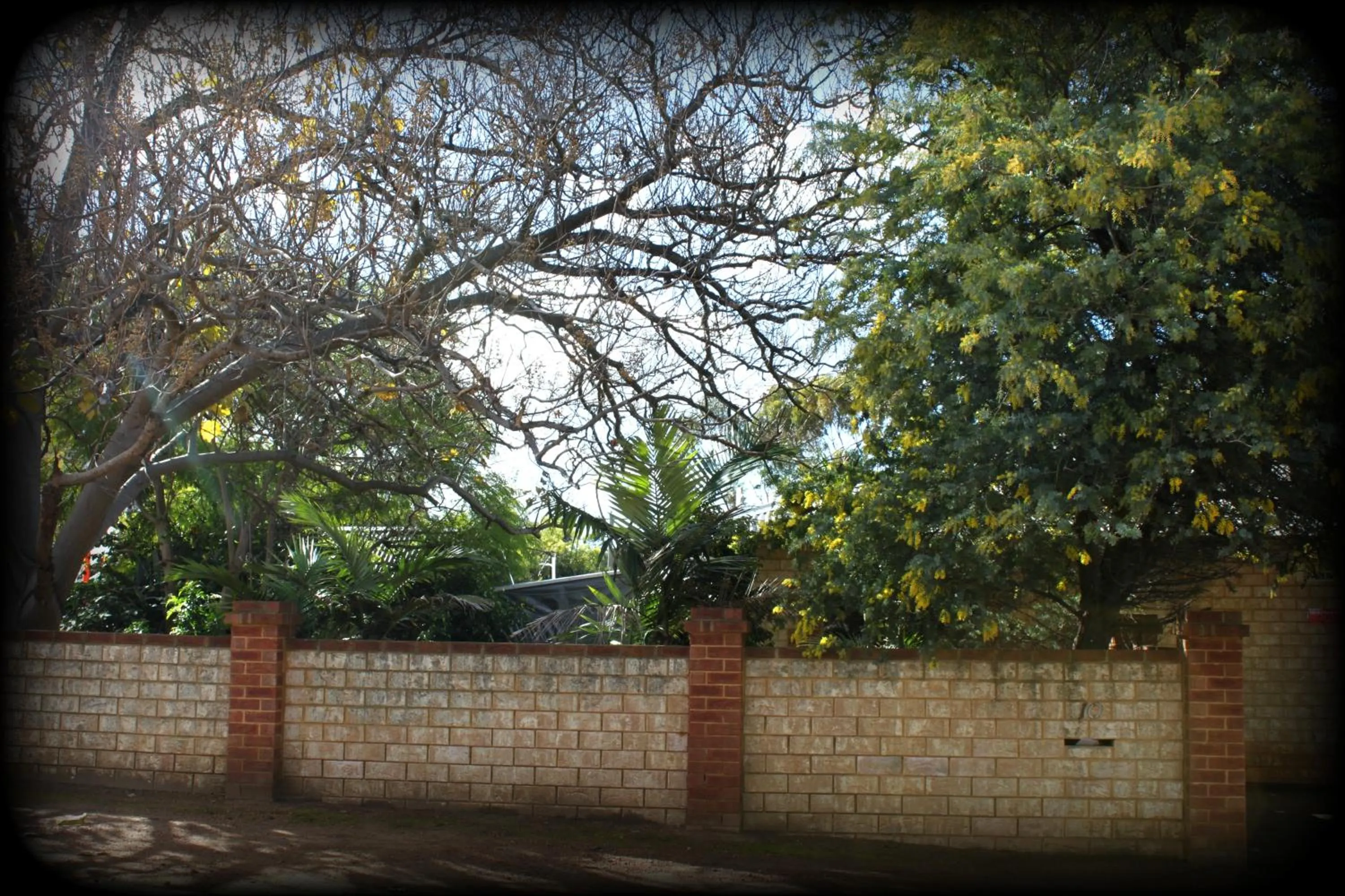 Garden in York's Boutique Motel