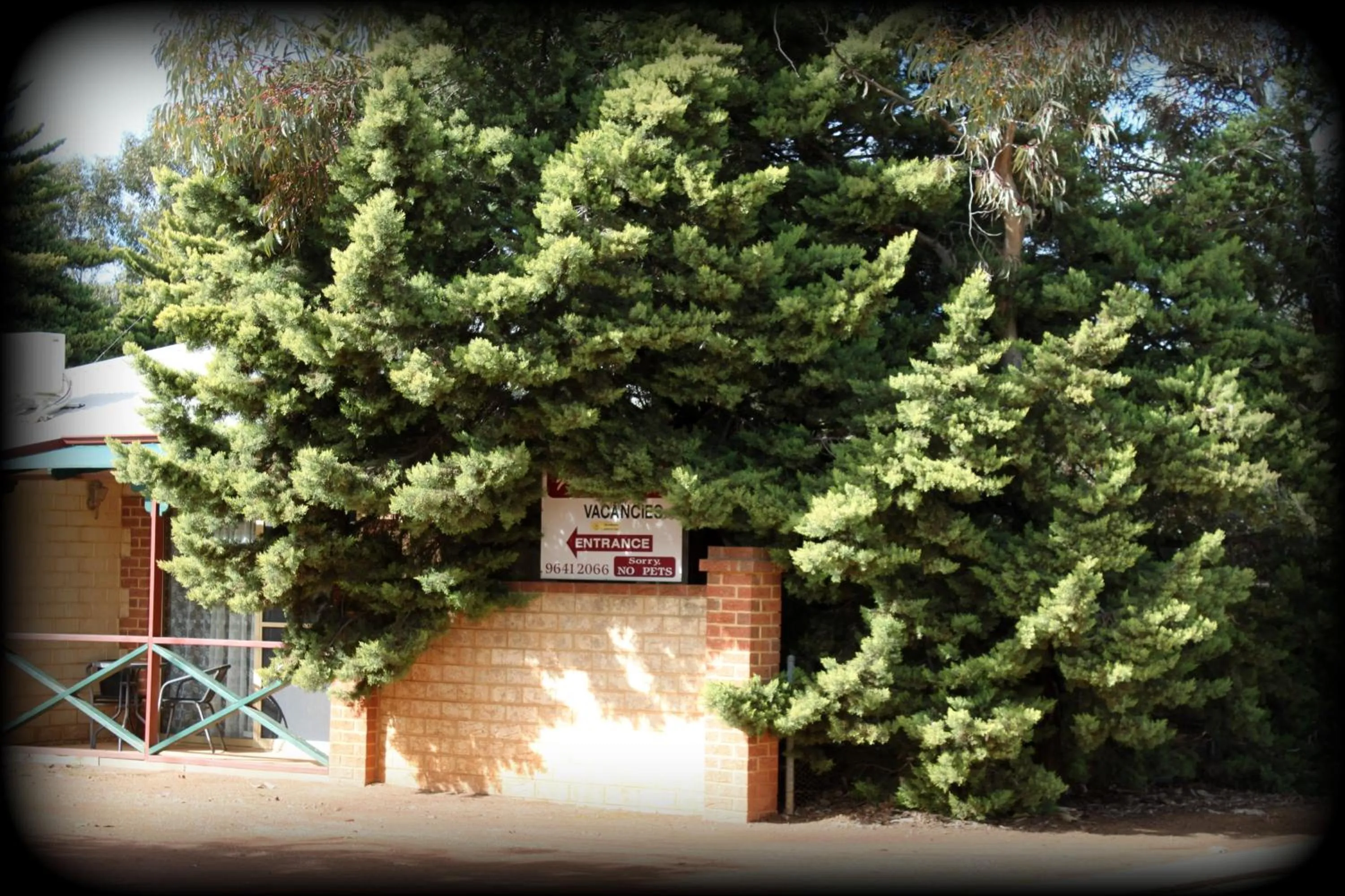 Garden in York's Boutique Motel