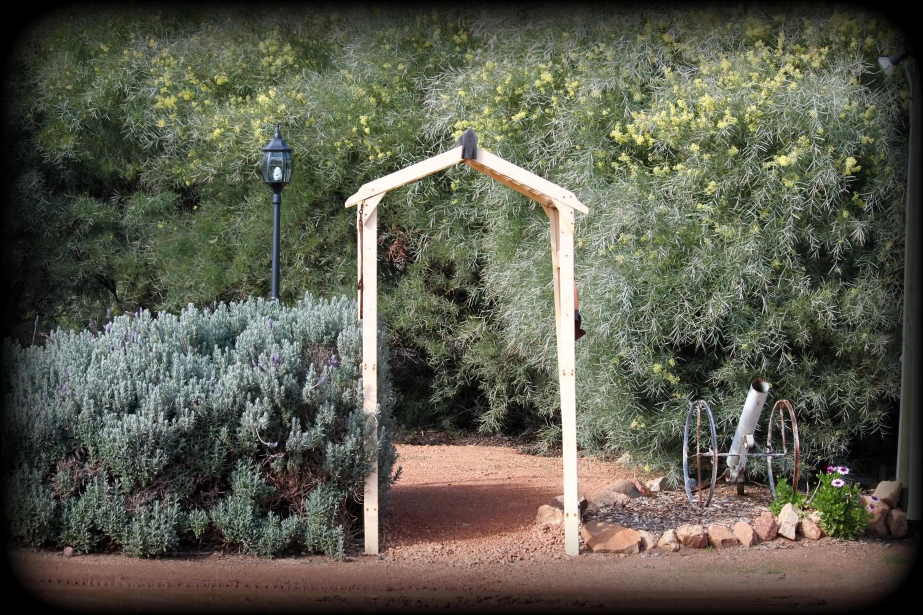 Garden in York's Boutique Motel
