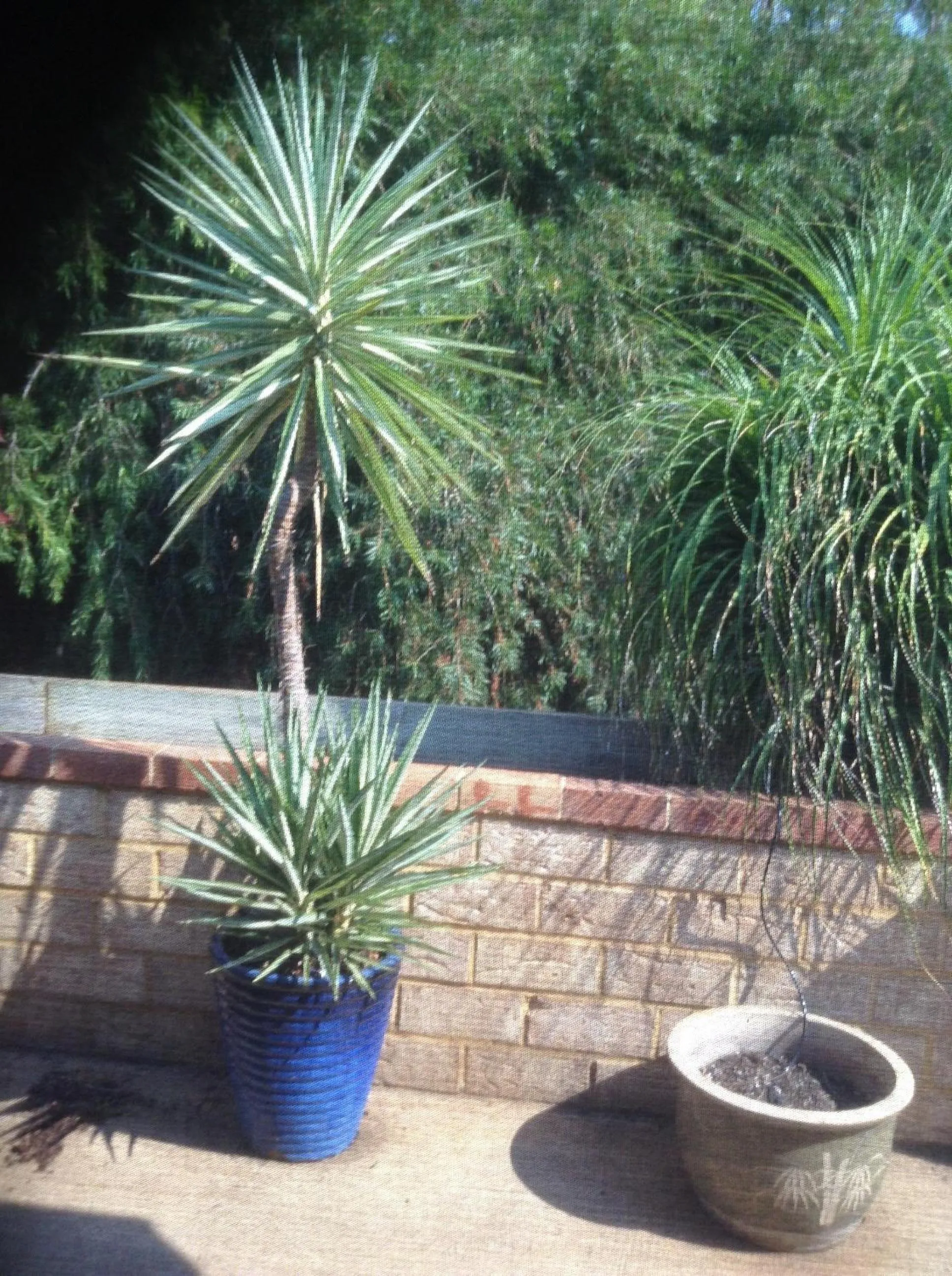 Facade/entrance in York's Boutique Motel