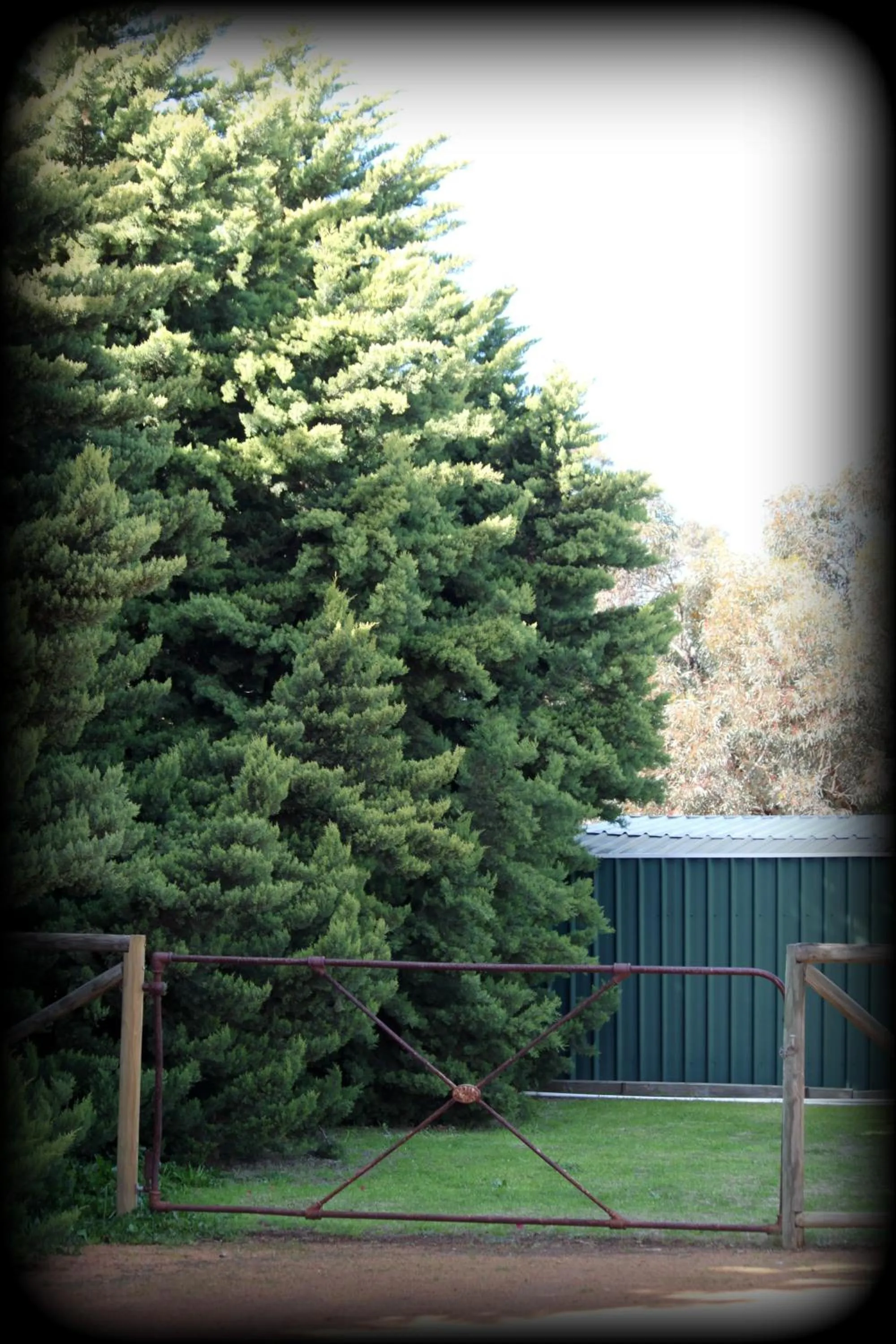 Garden in York's Boutique Motel