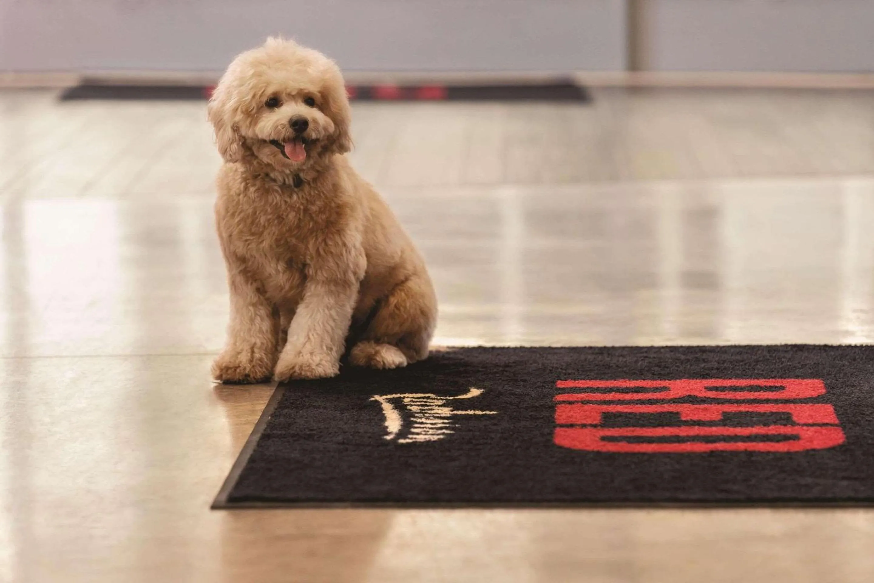 Nearby landmark in Radisson RED Miami Airport