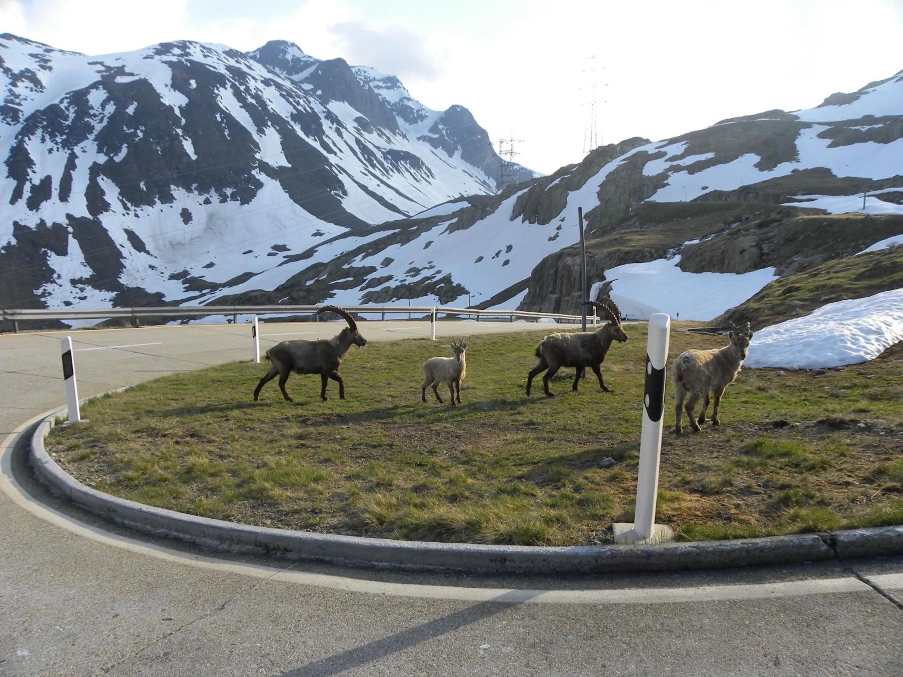 Spring in Hotel Restaurant Walliser Sonne