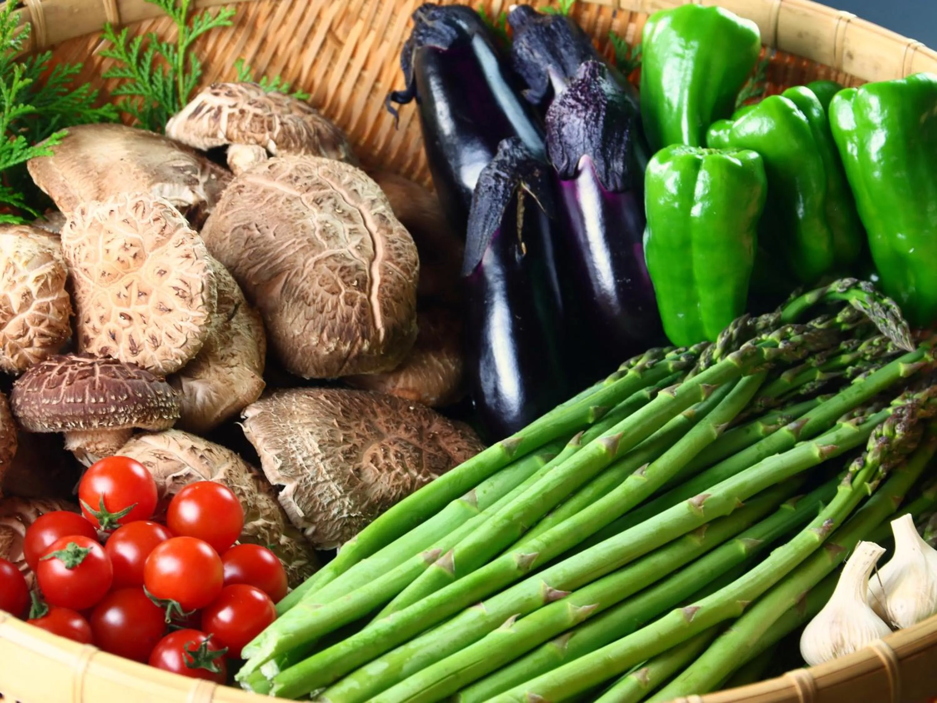 Hanasaku Onsen Yoshiyaso