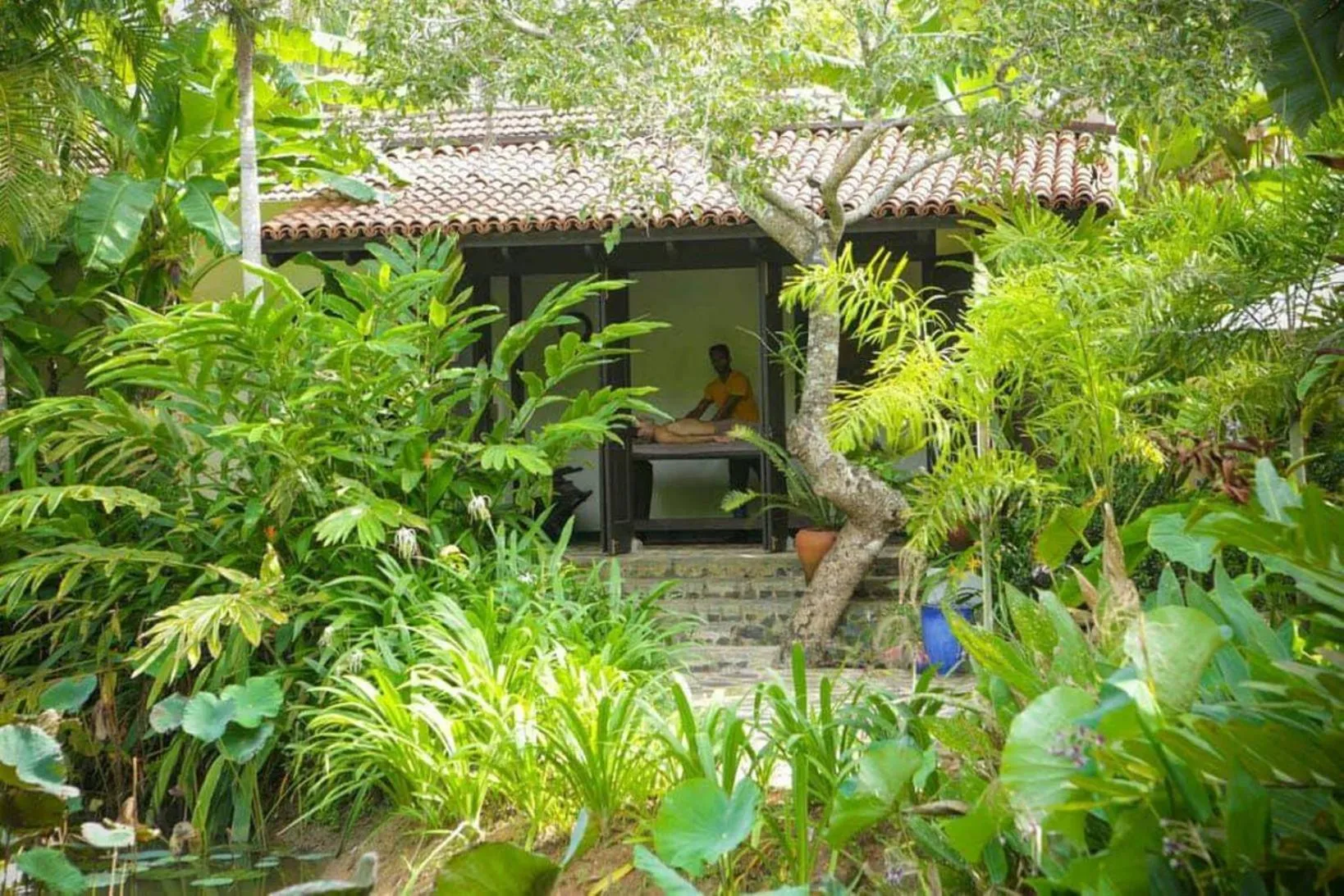 Activities in Sergeant House Boutique Villa & Private Beach