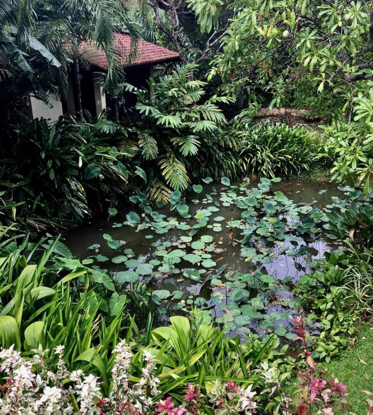 Garden in Sergeant House Boutique Villa & Private Beach