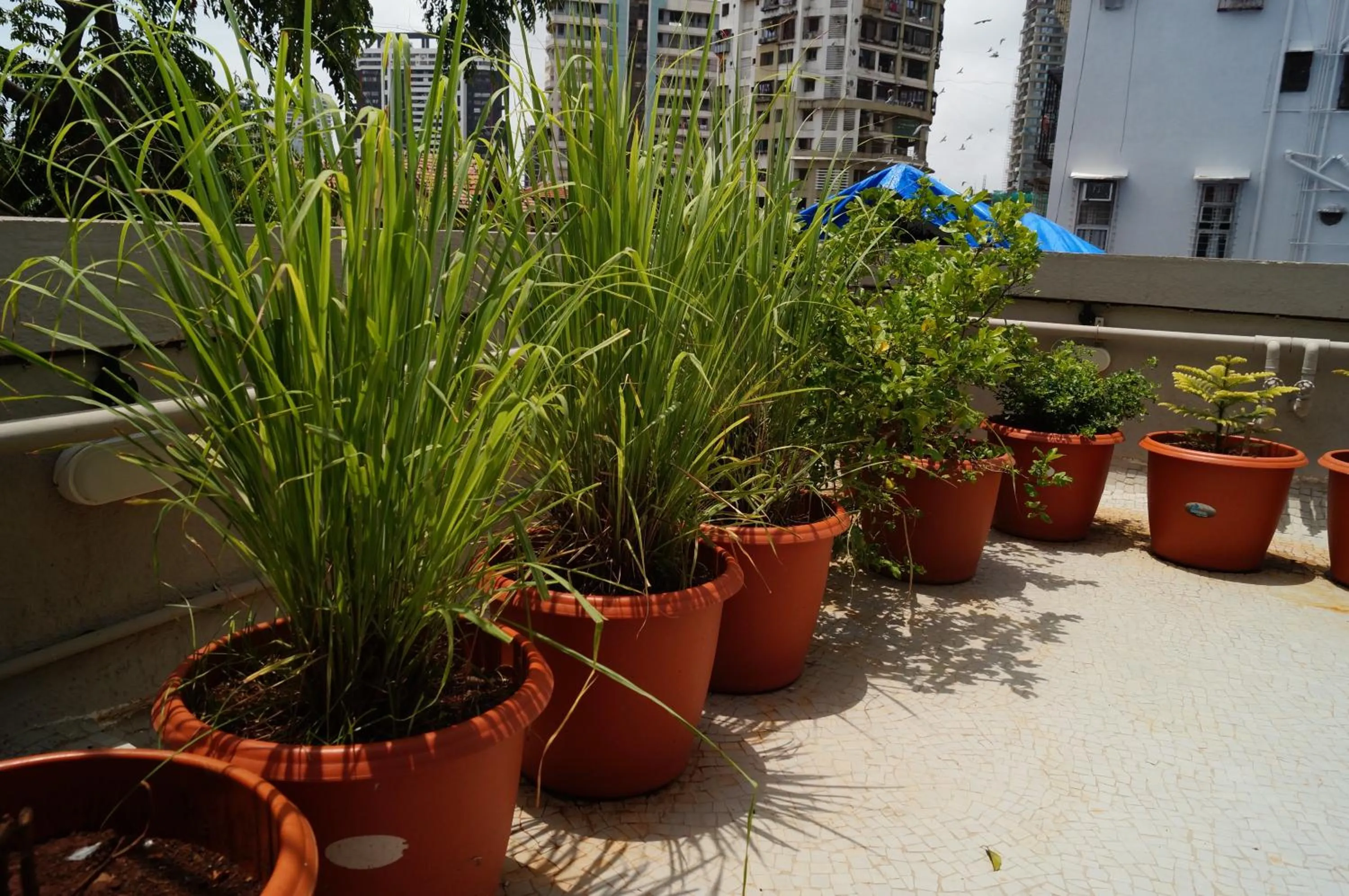 Balcony/Terrace in Hotel Kumkum