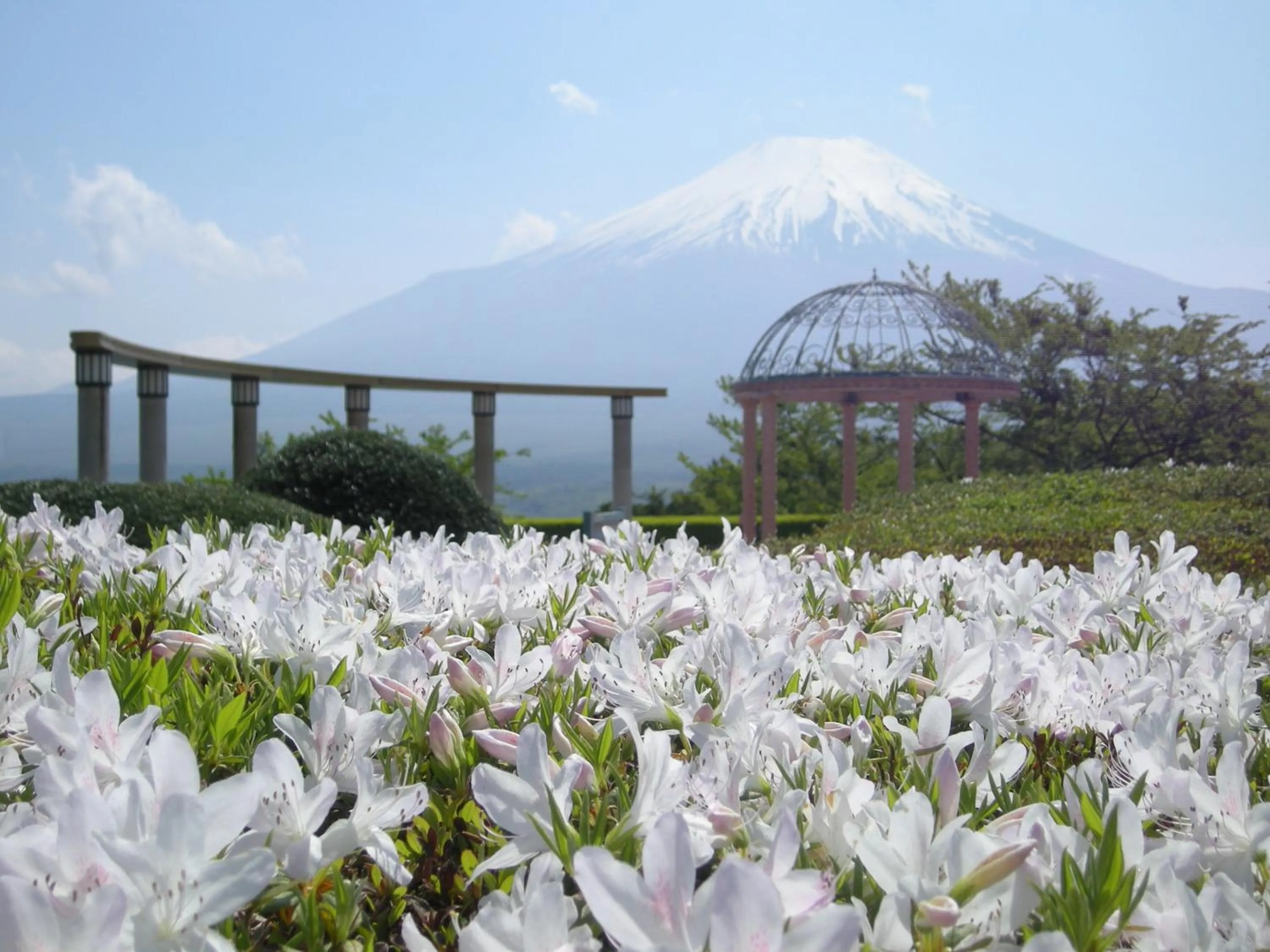 Garden in Hotel Mt. Fuji