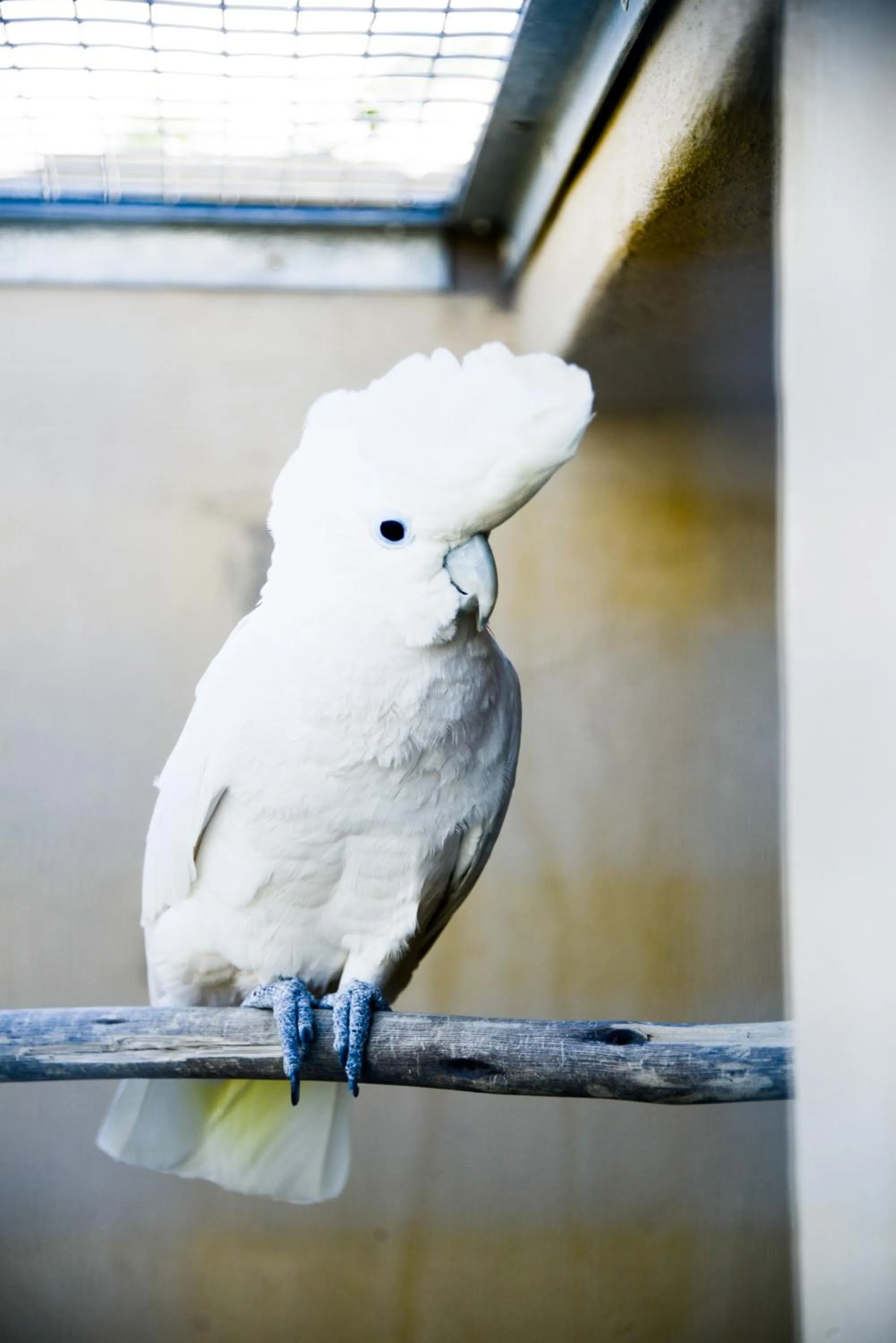 Garden in Dio Dell Amore Guest House